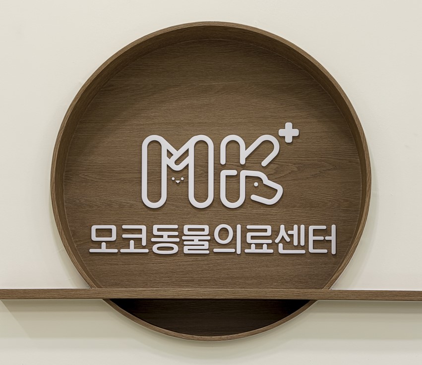 모코동물의료센터 내부 또는 관련 모습