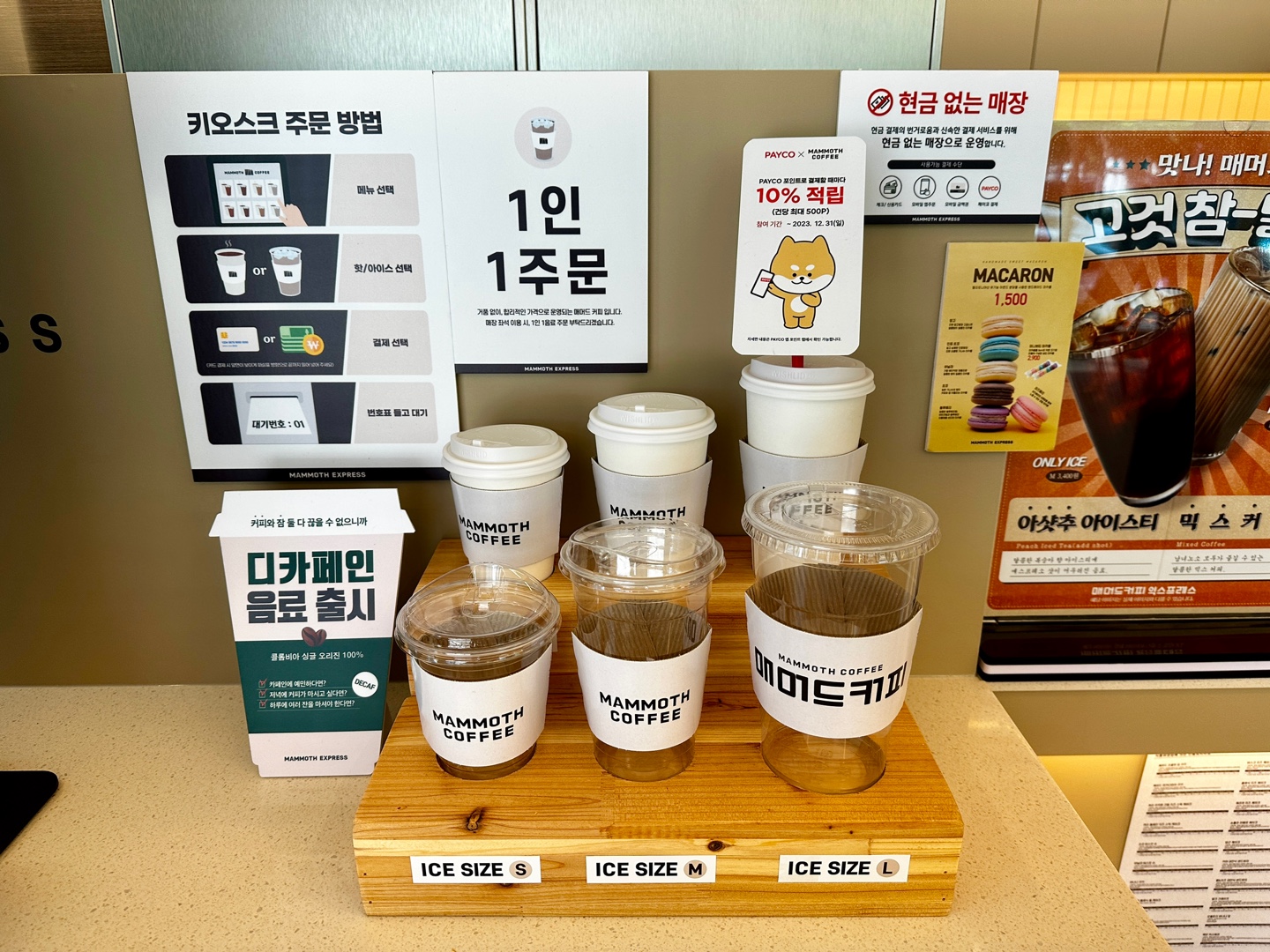 매머드익스프레스 대전을지한화점