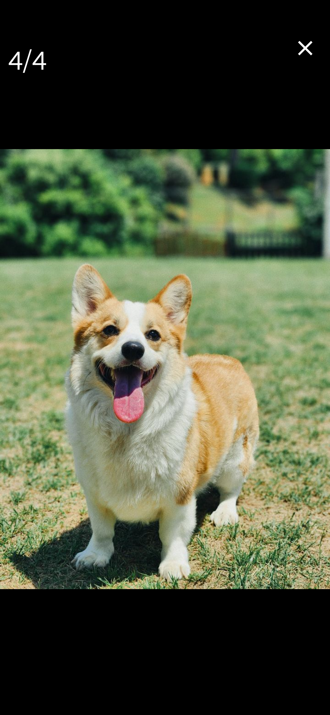 뭉게뭉게구름산빌리지 대표 이미지