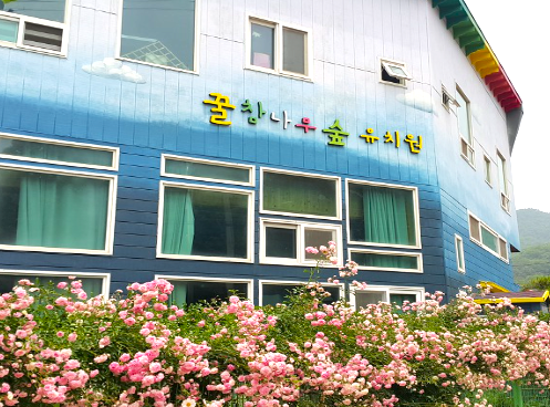 꿀참나무