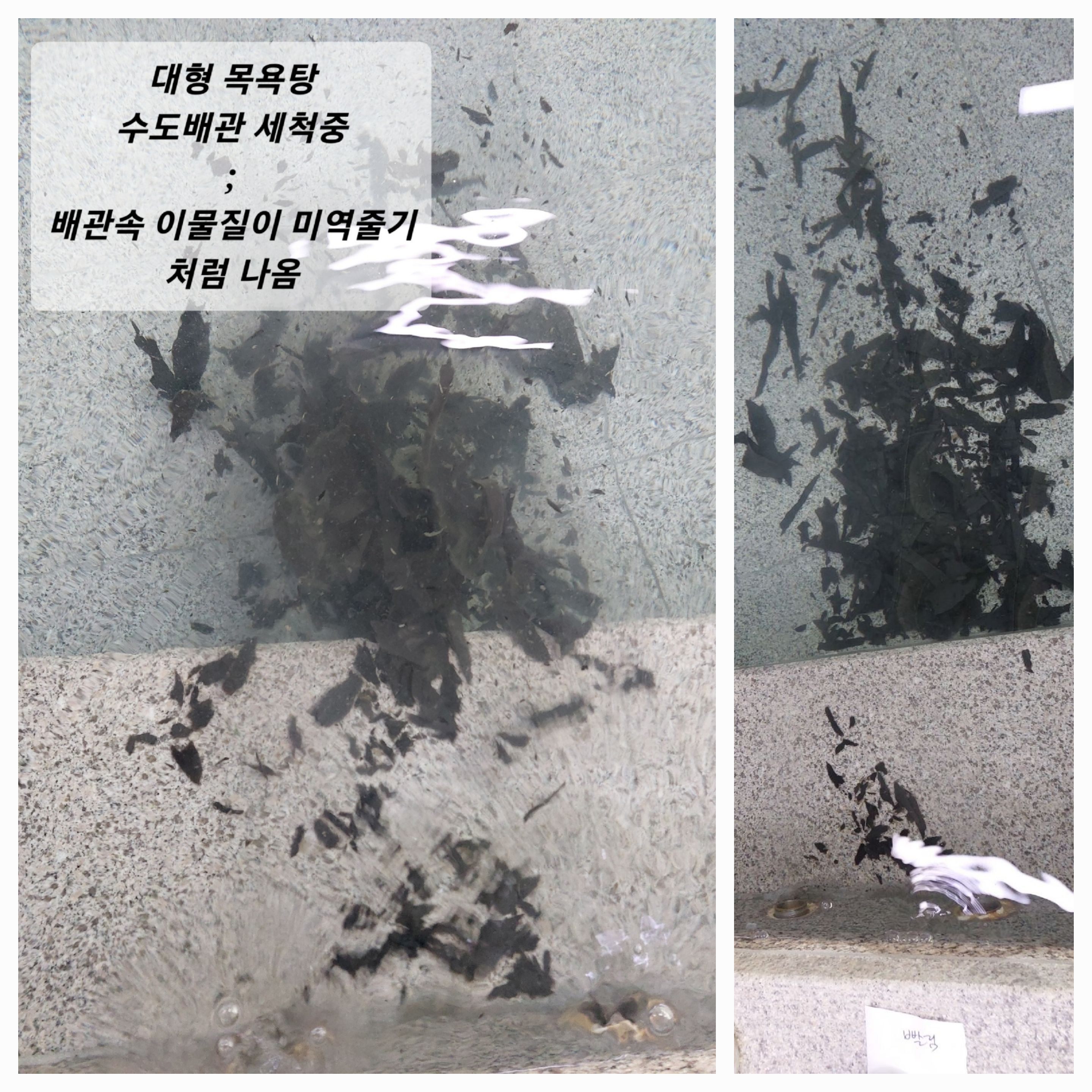 다고쳐
