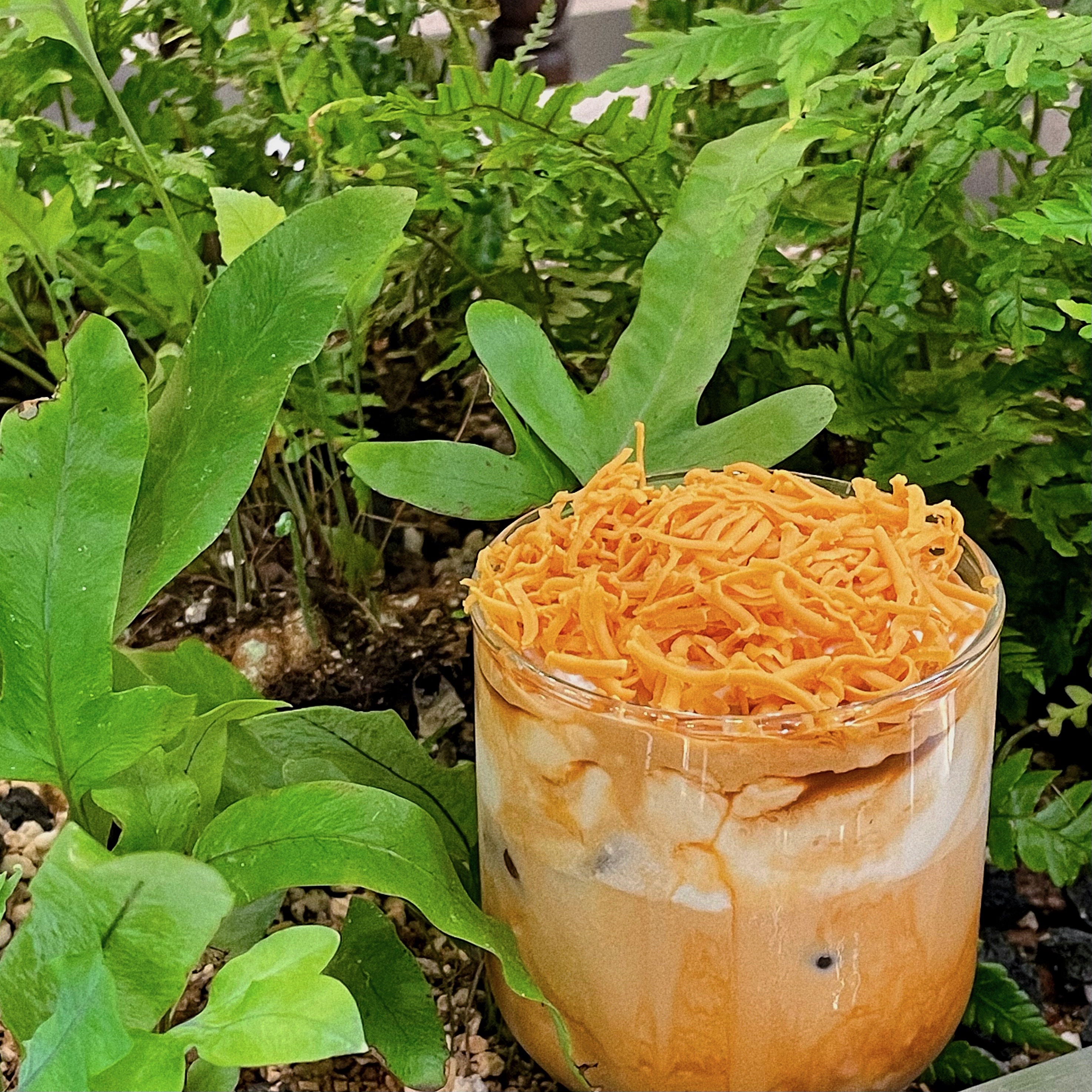 카페윤설