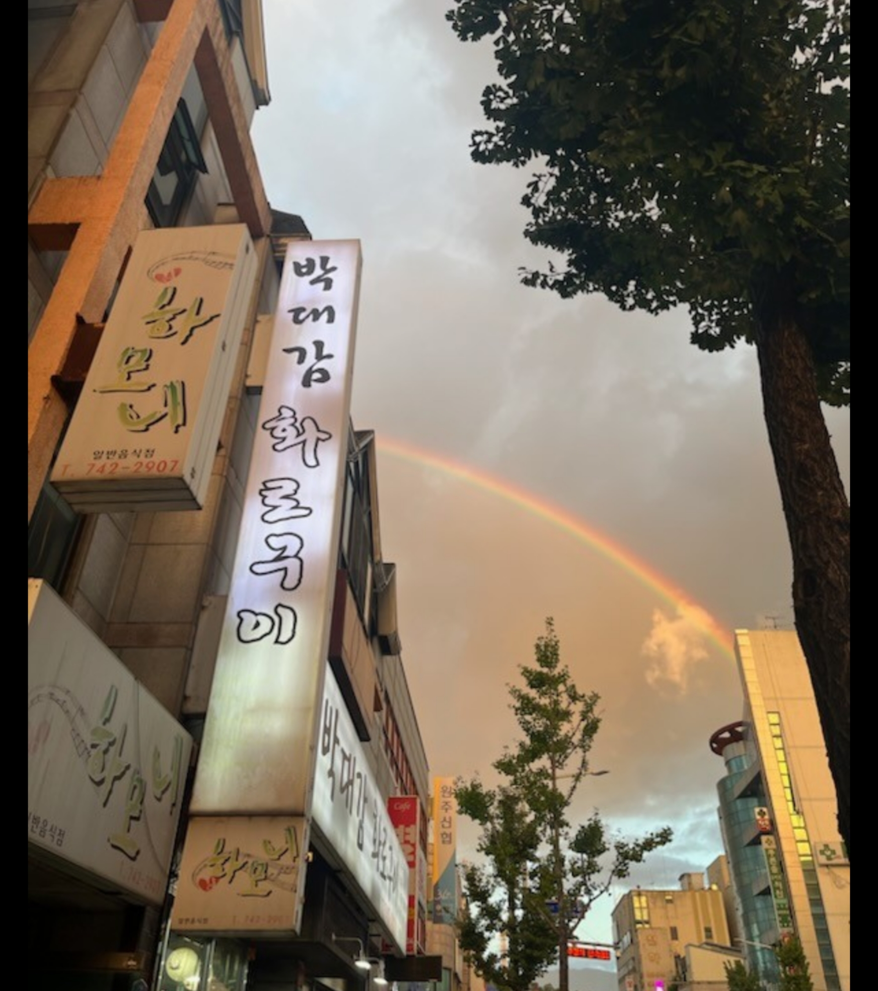 본점박대감화로구이