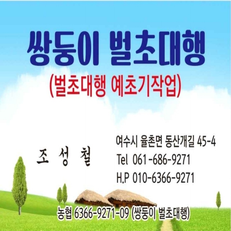 쌍둥이 벌초대행