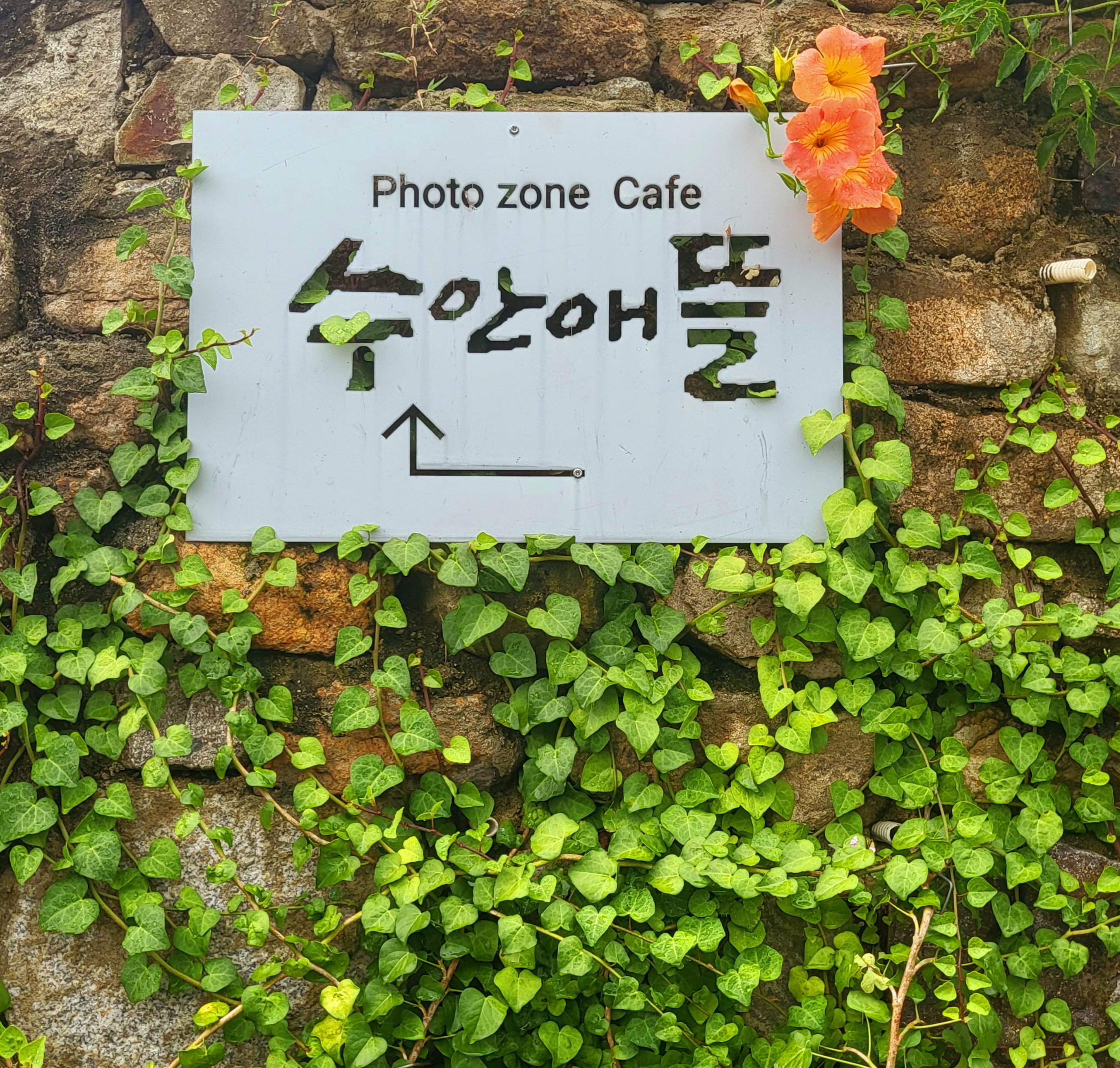 수안애뜰
