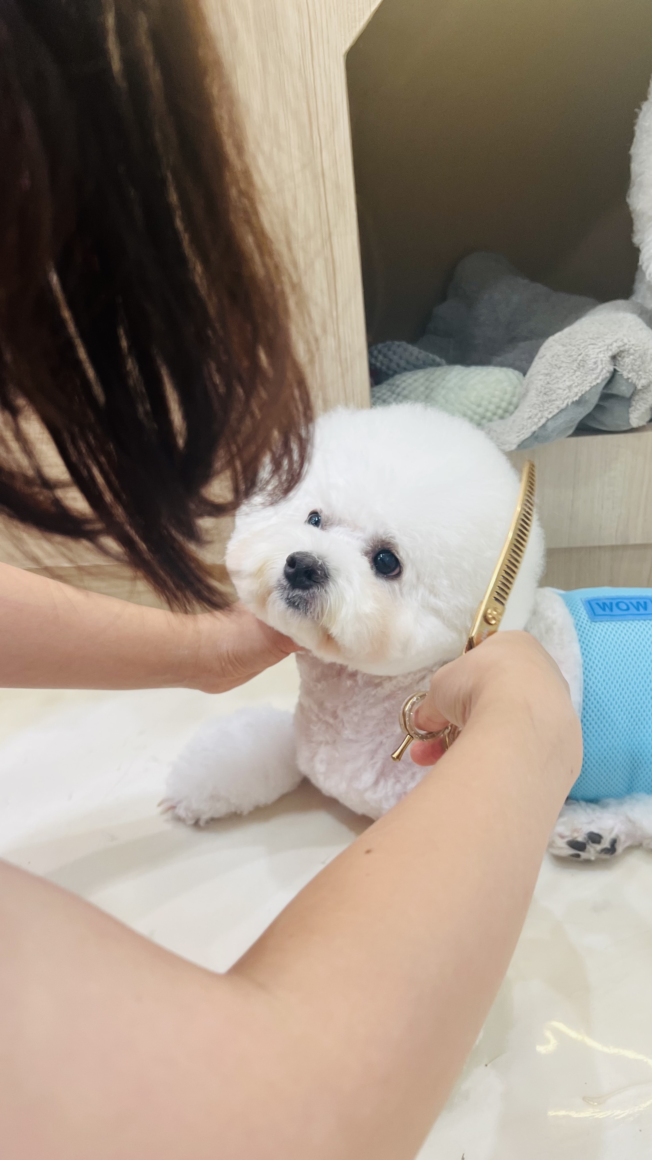 루루펫살롱 대표 이미지