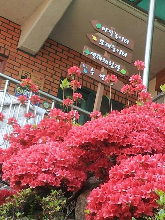 동우어린이나라어린이집 대표 이미지