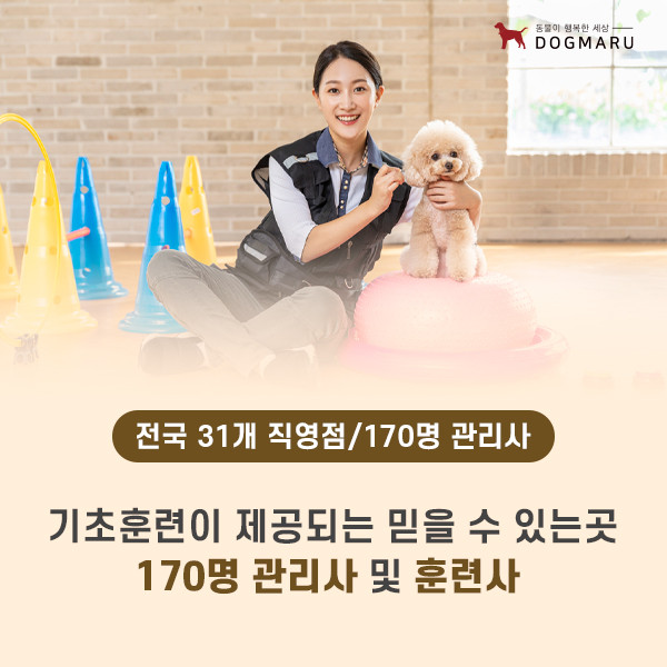 강아지고양이유기견무료말티푸랙돌먼치킨포메라니안 대표 이미지