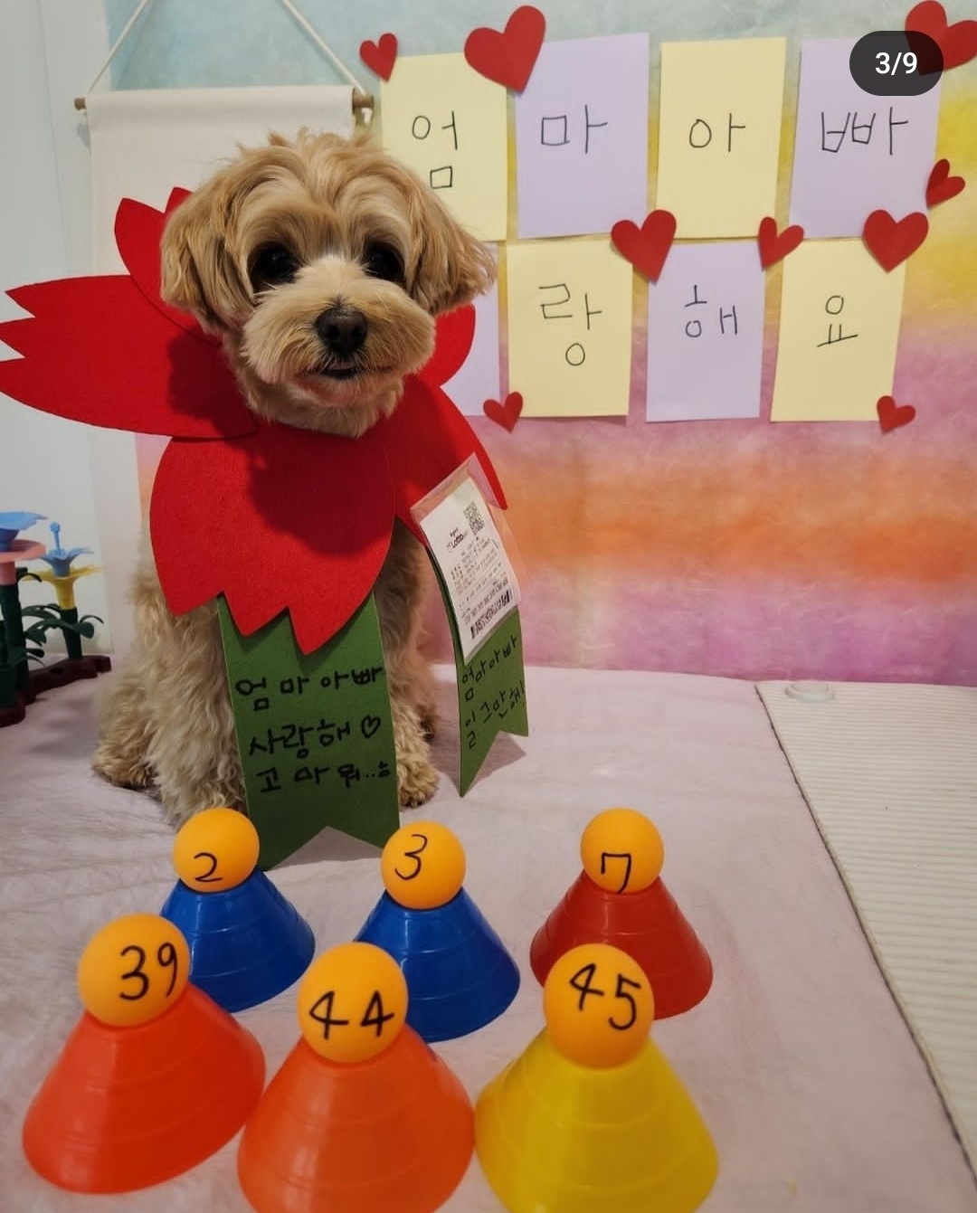 디어코코 대표 이미지