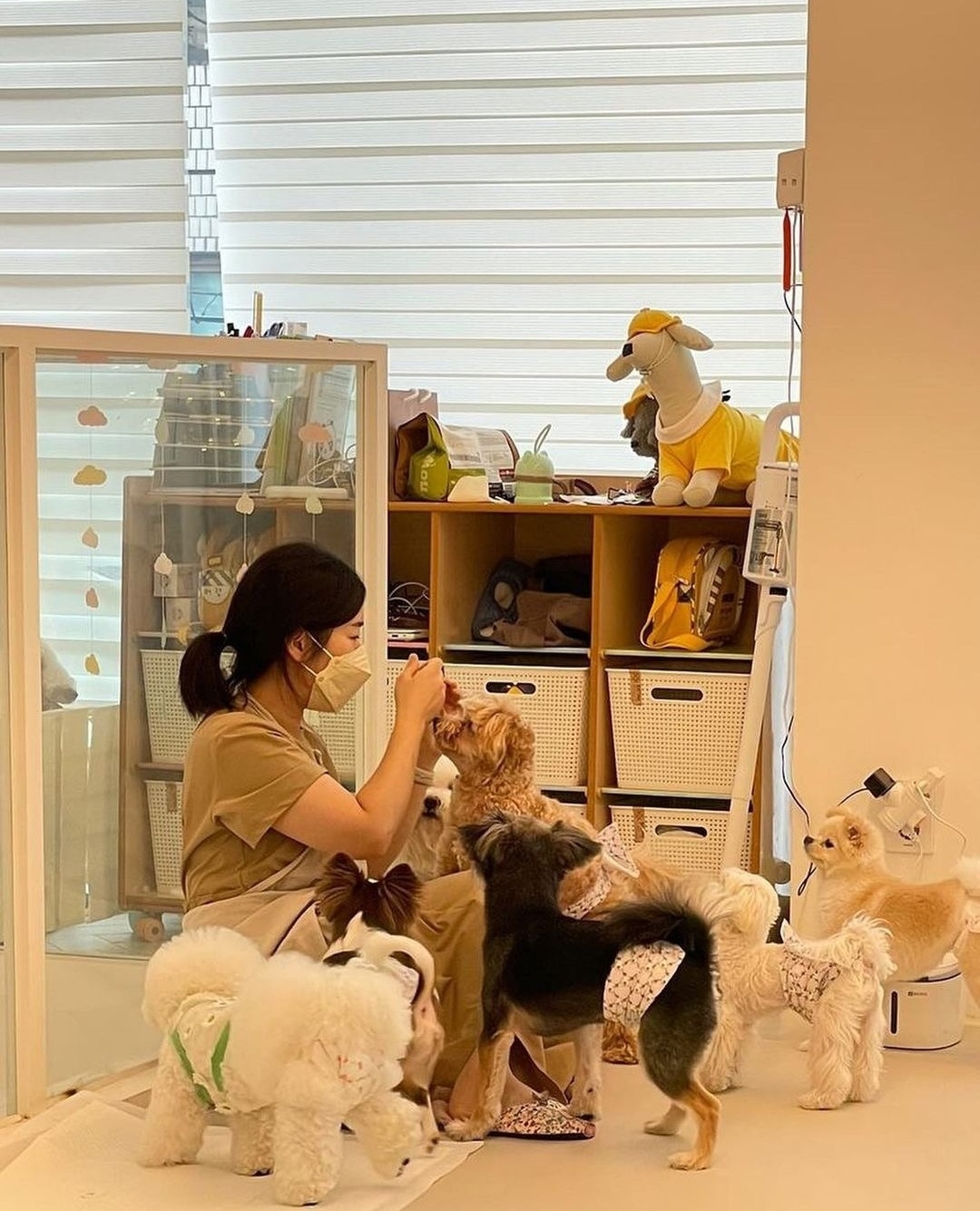 디어코코 대표 이미지