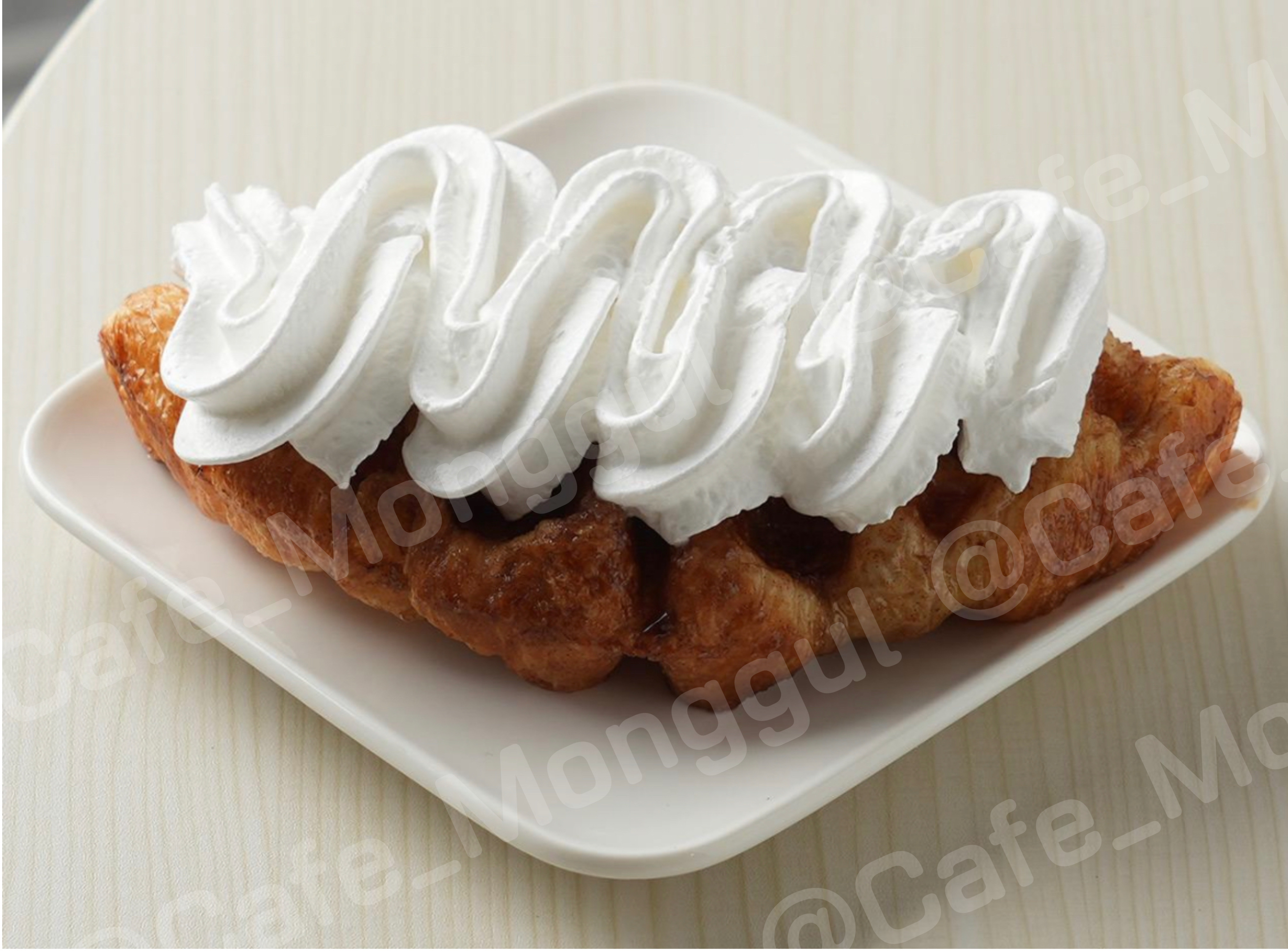 카페몽글 반려동물 동반 애견카페