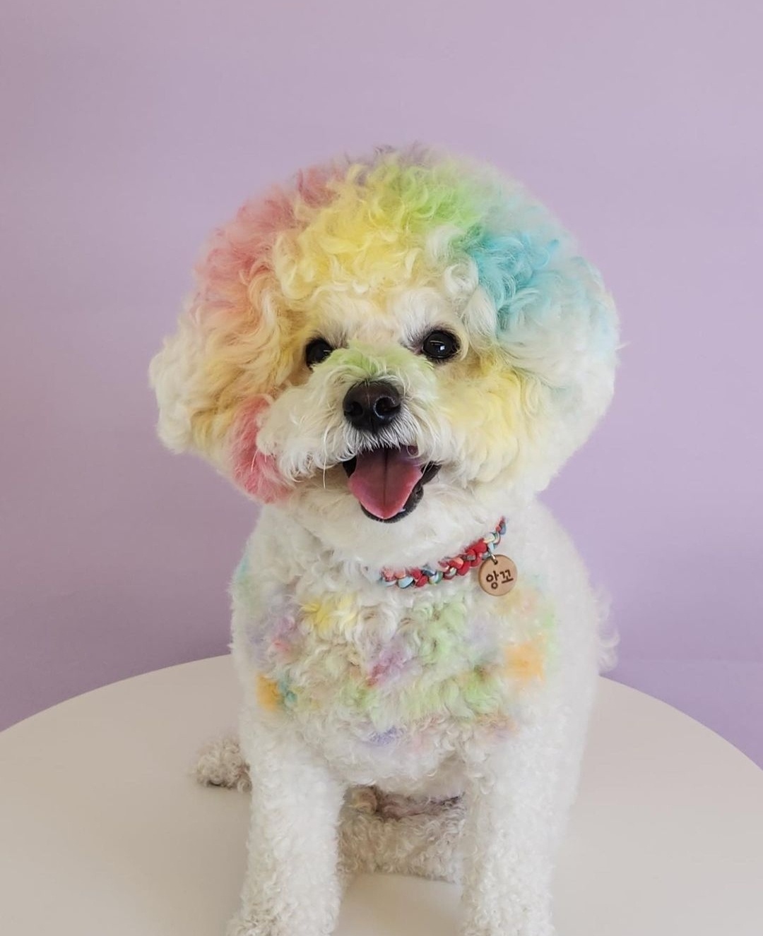 디어코코 대표 이미지