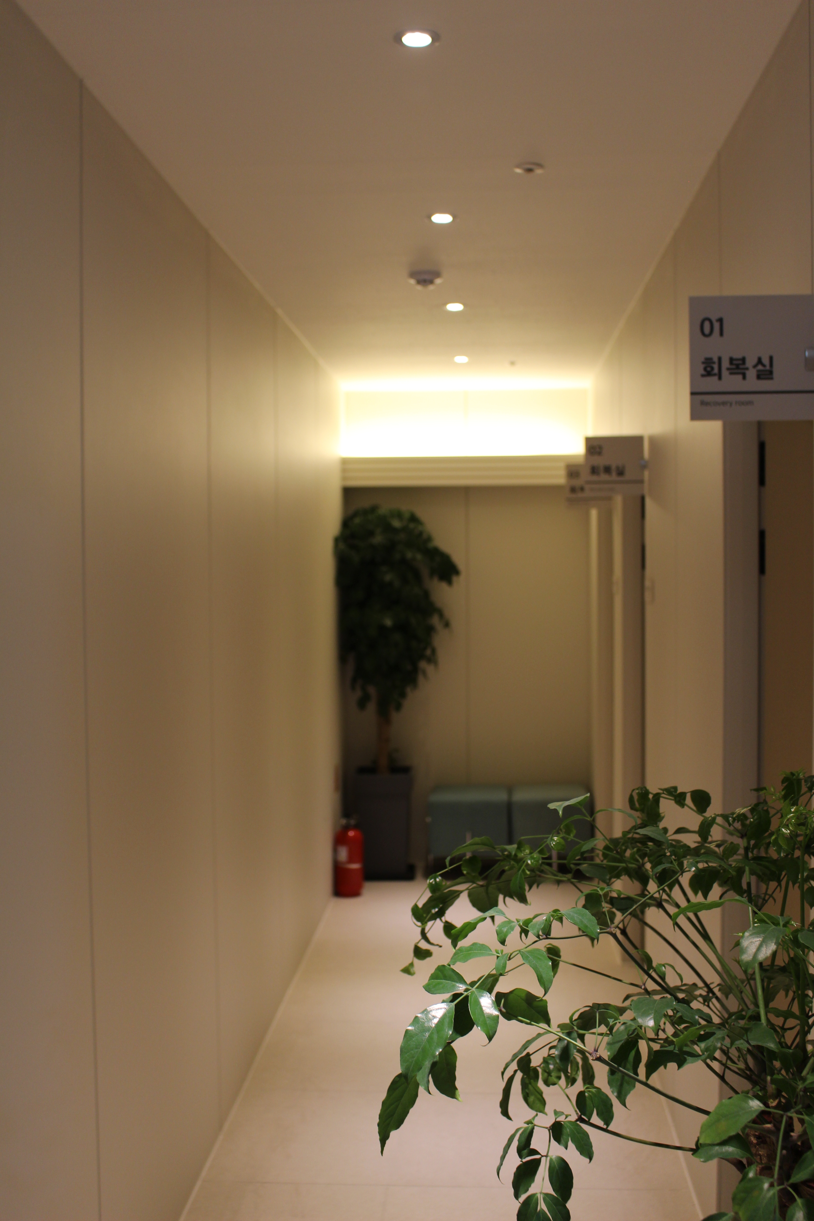 아라서울여성의원