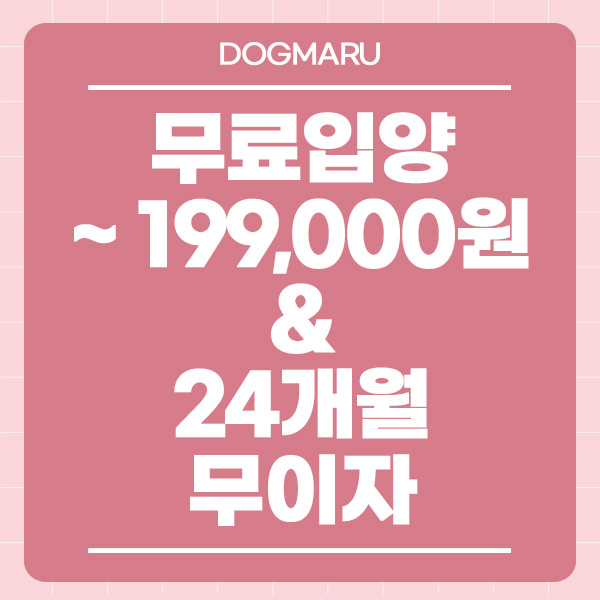 도그마루 대표 이미지: 강아지 고양이 분양/입양