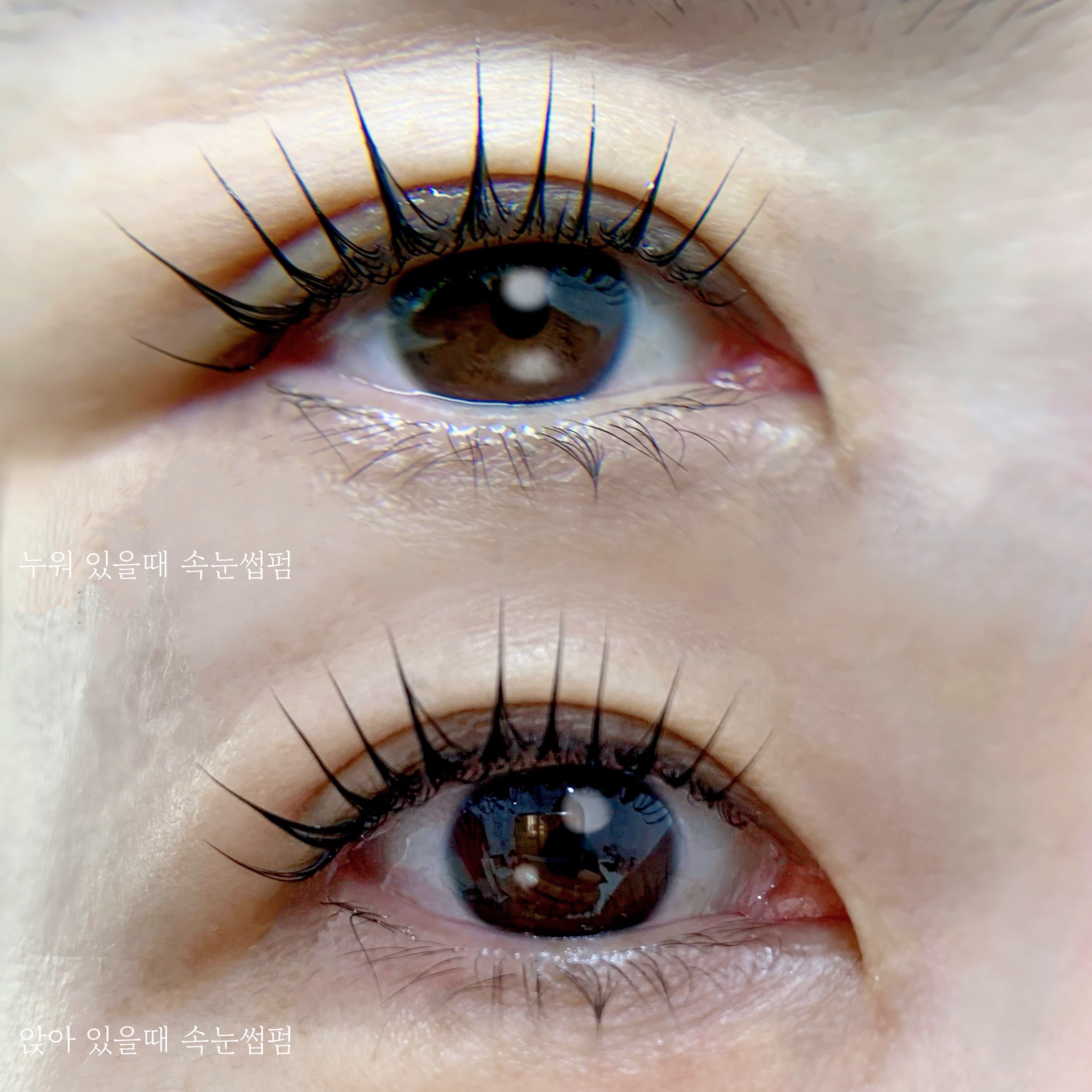 린브로우 대표 이미지