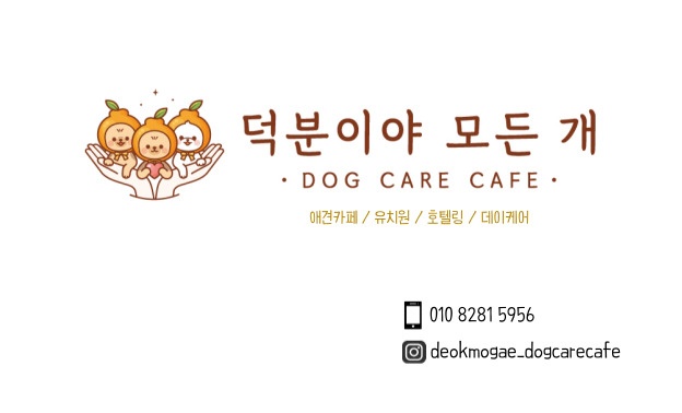 덕분이야모든개