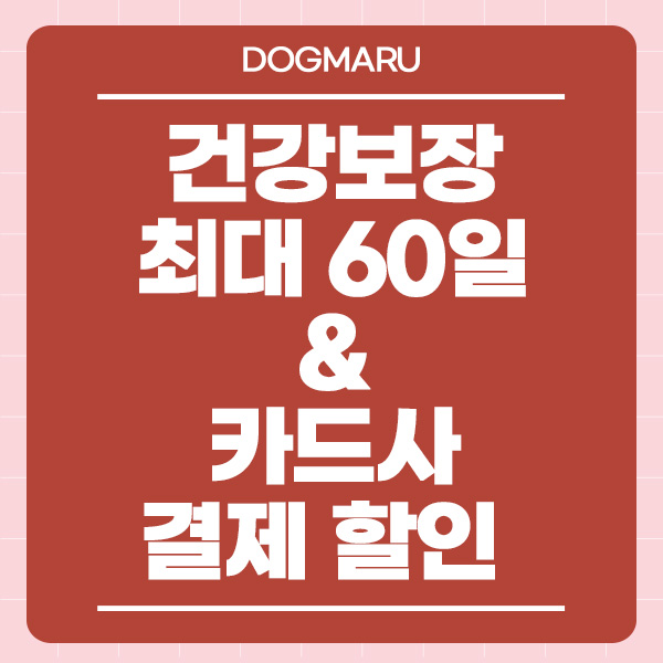 강아지고양이유기견무료말티푸랙돌먼치킨포메라니안 대표 이미지