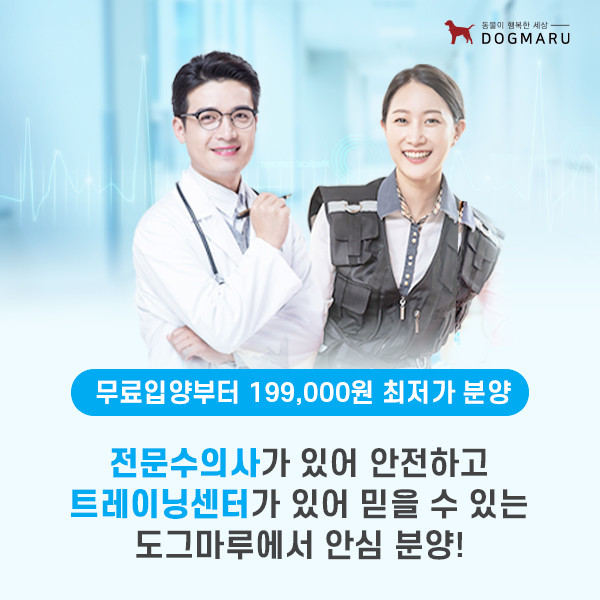 강아지고양이유기견무료말티푸랙돌먼치킨포메라니안 대표 이미지