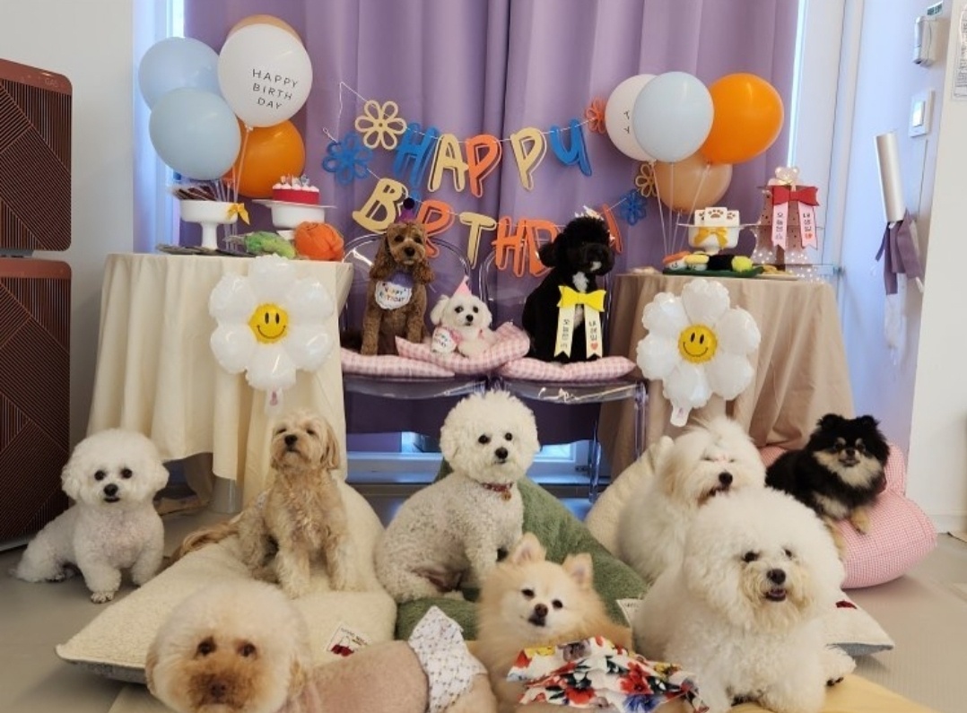 디어코코 대표 이미지