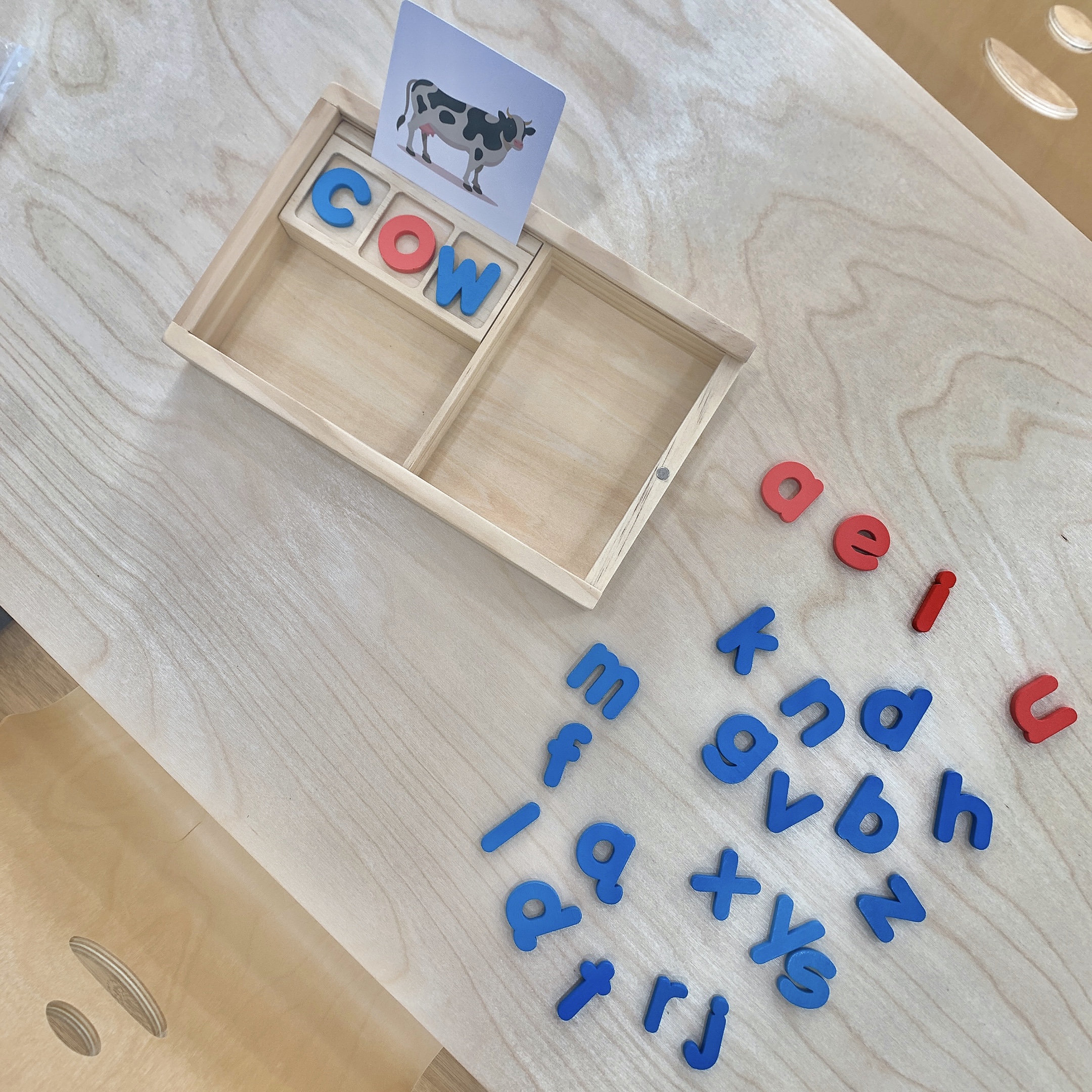 에이 몬테소리 대표 이미지