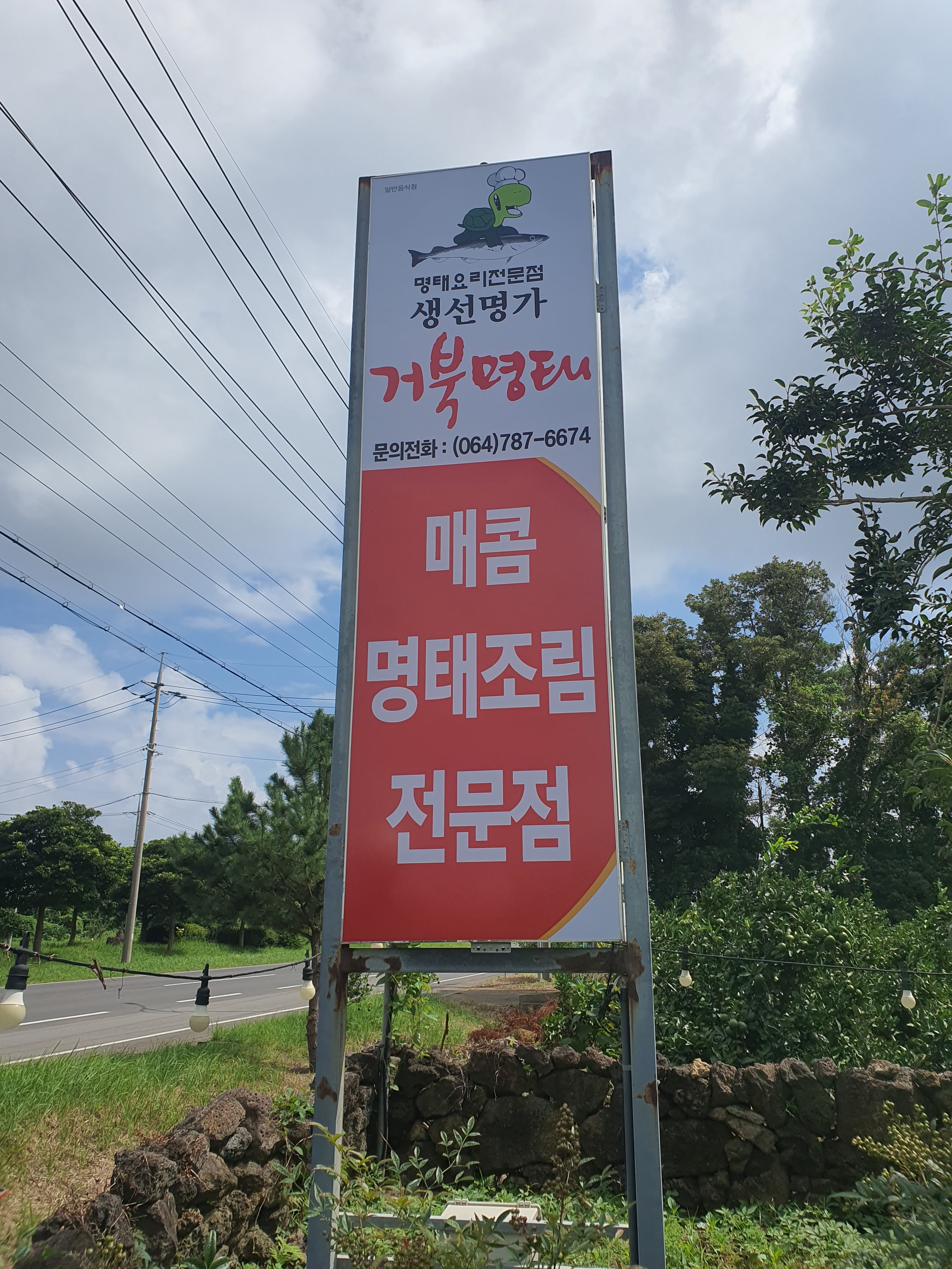 생선명가 거북명태