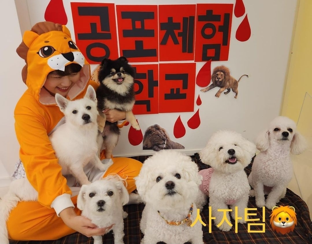 디어코코 강아지유치원&애견호텔 대표 이미지