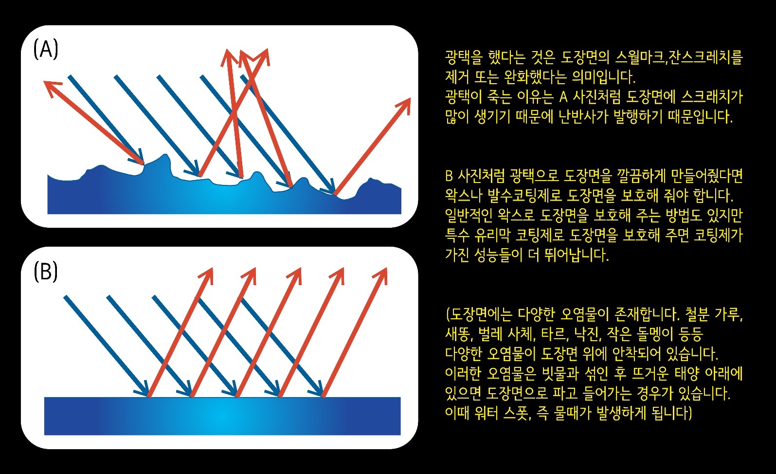 베스트카케어