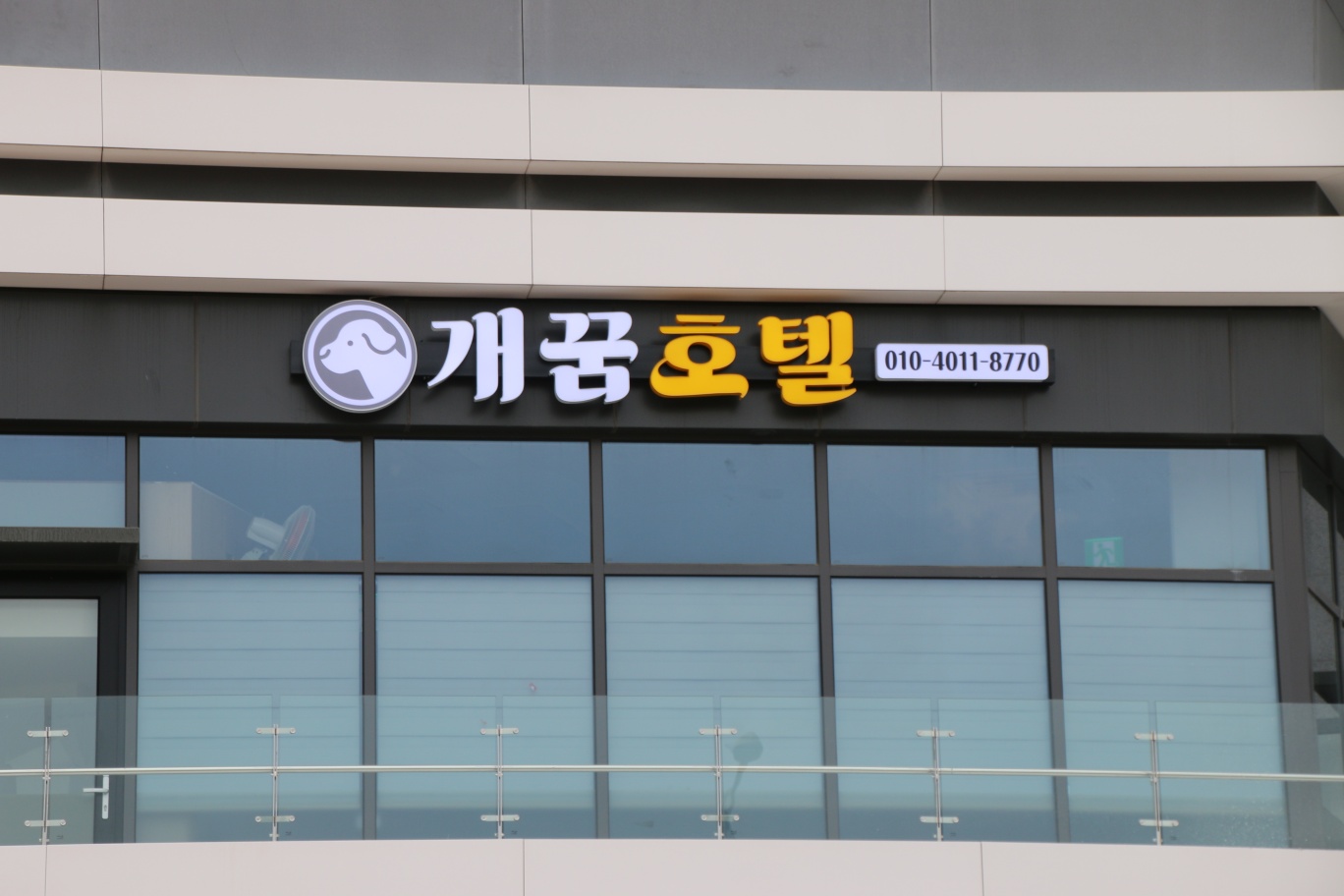 개꿈호텔 대표 이미지