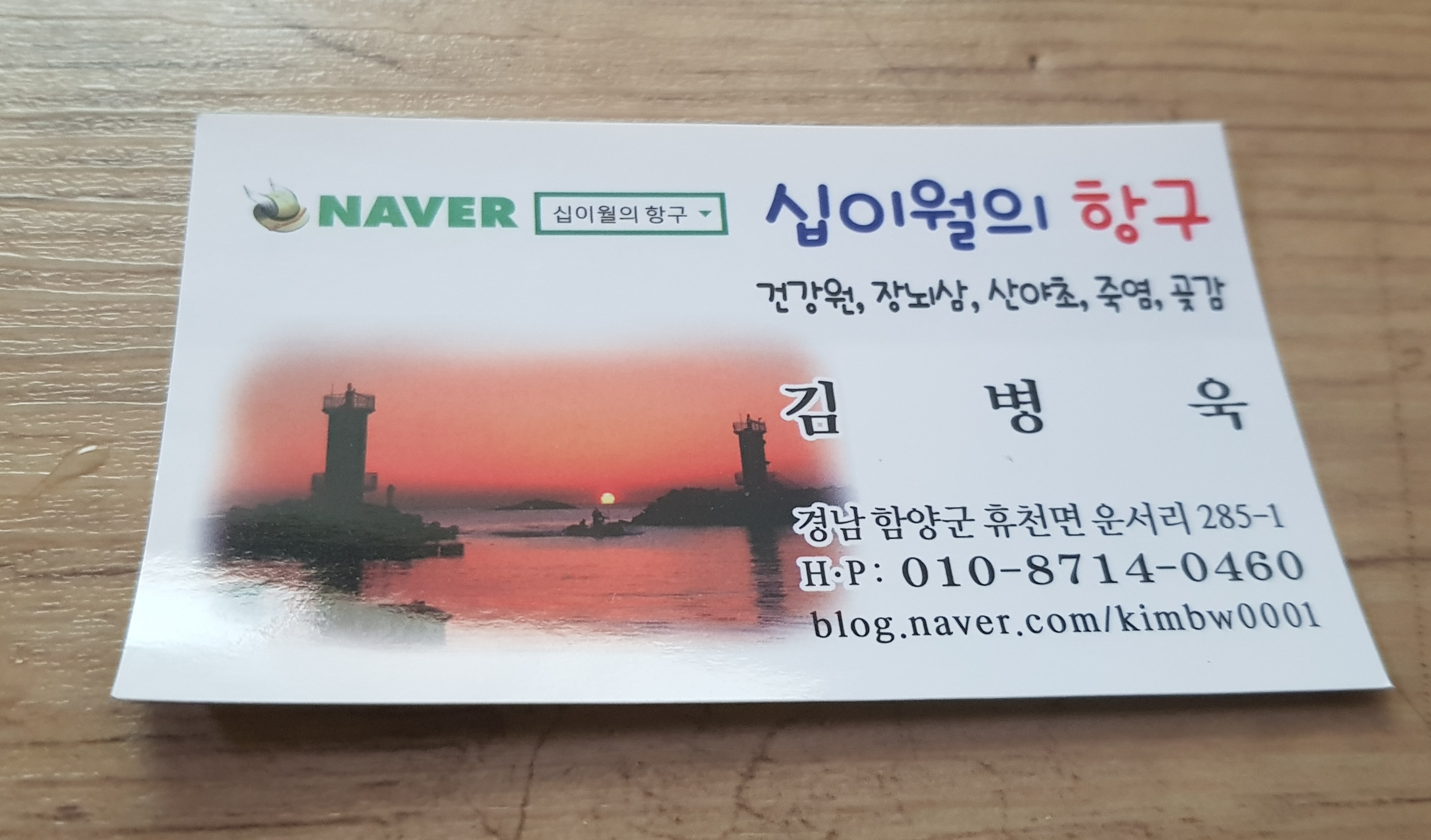 십이월의항구