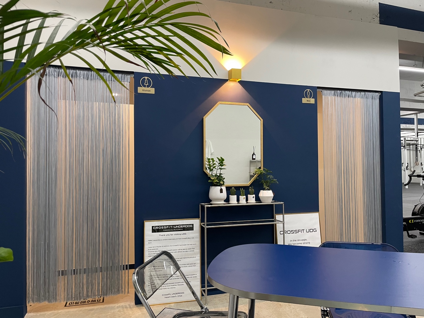 크로스핏 언더독 대표 이미지