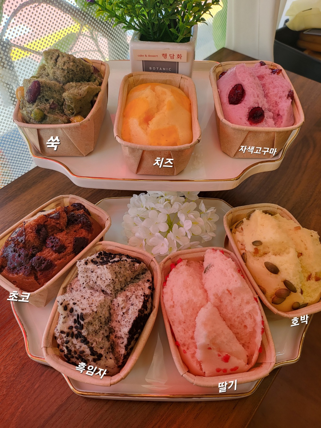 행담화