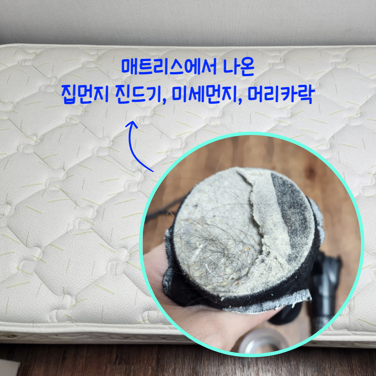 비치움