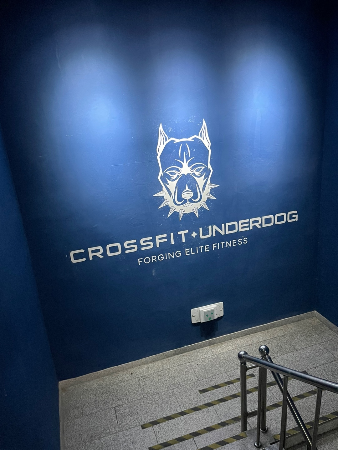 크로스핏 언더독 대표 이미지