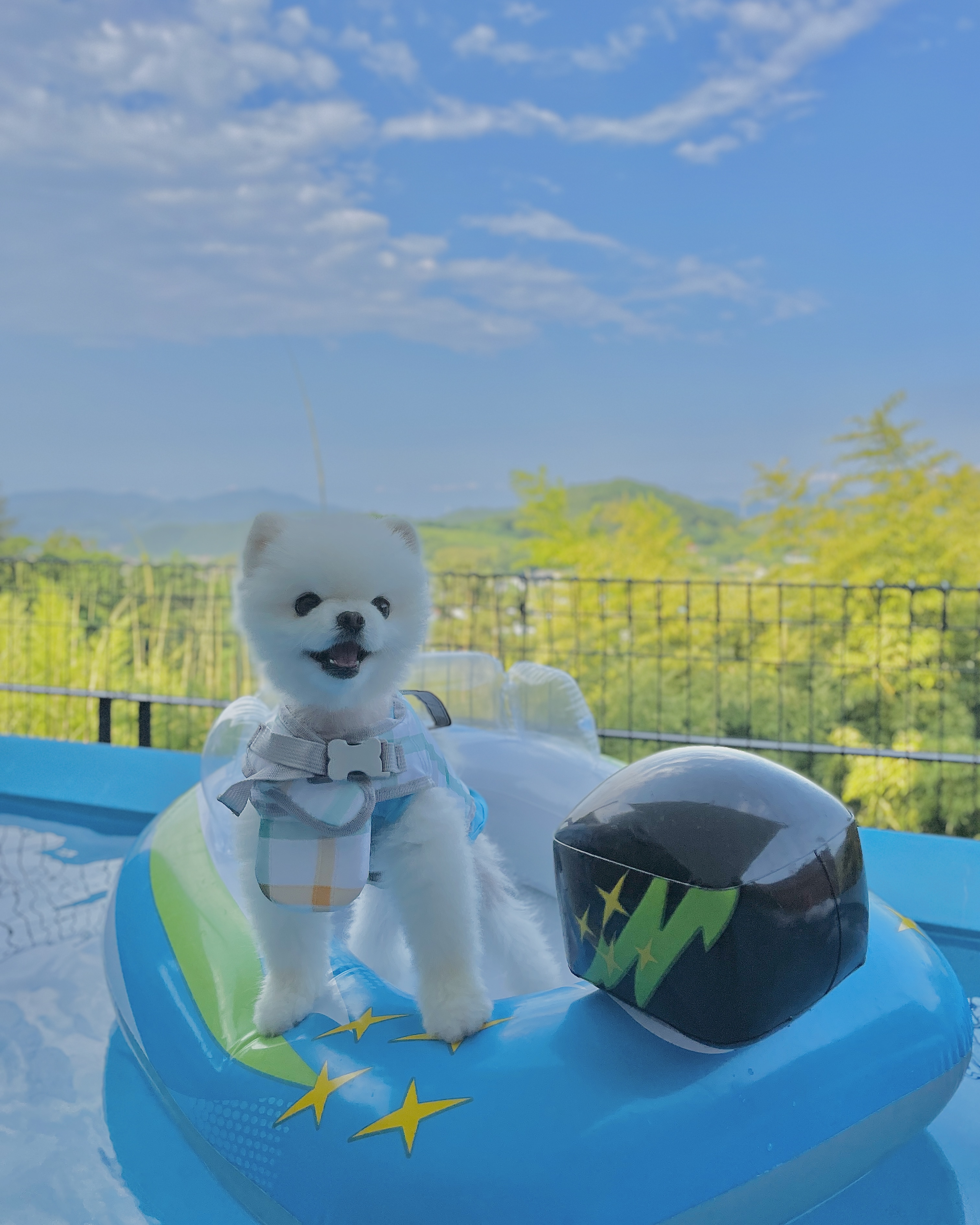 청도더포레풀빌라 경상 애견숙소