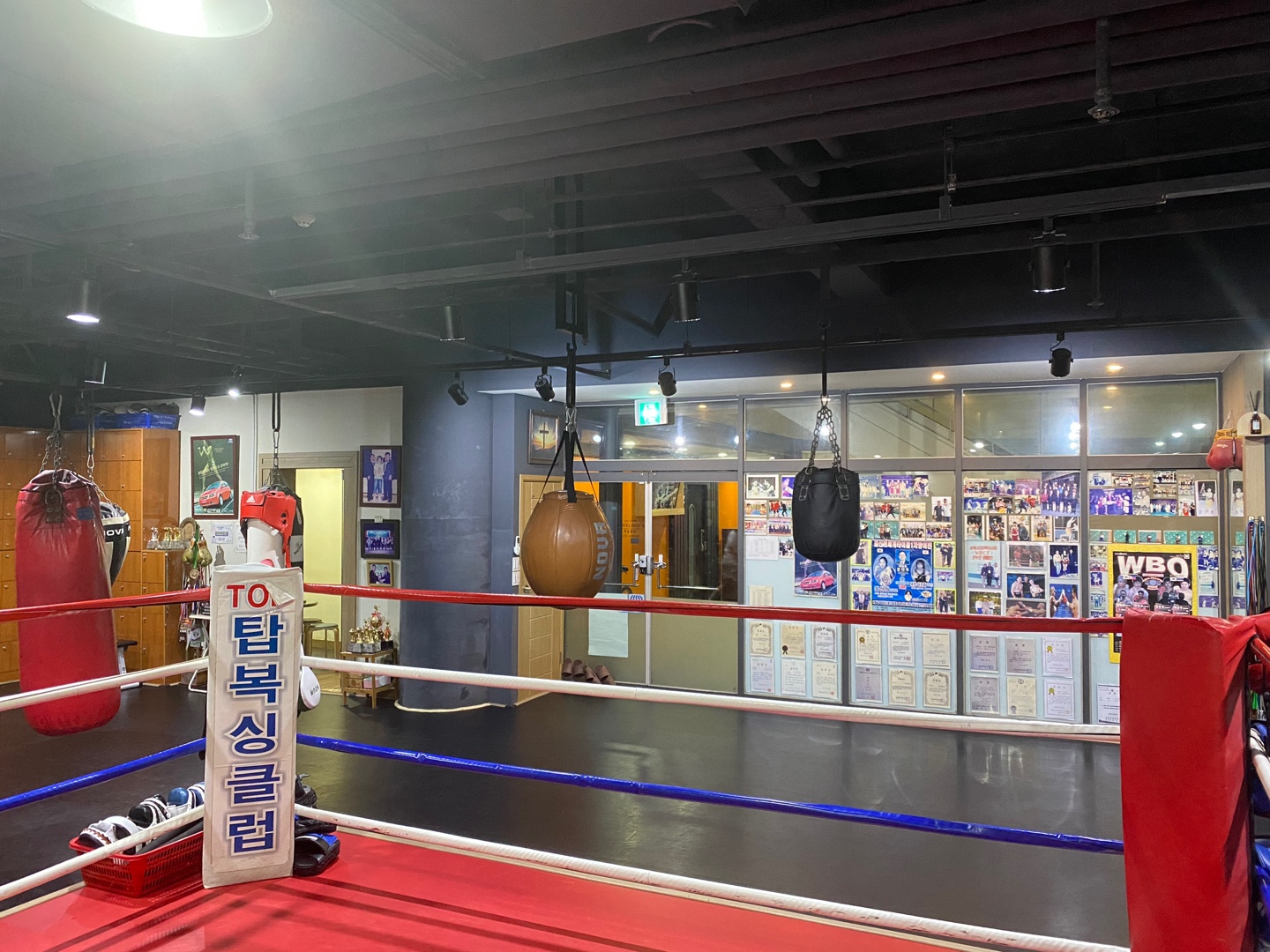 경기도 성남시 분당구 복싱체육관 탑 복싱체육관 내부 모습 5