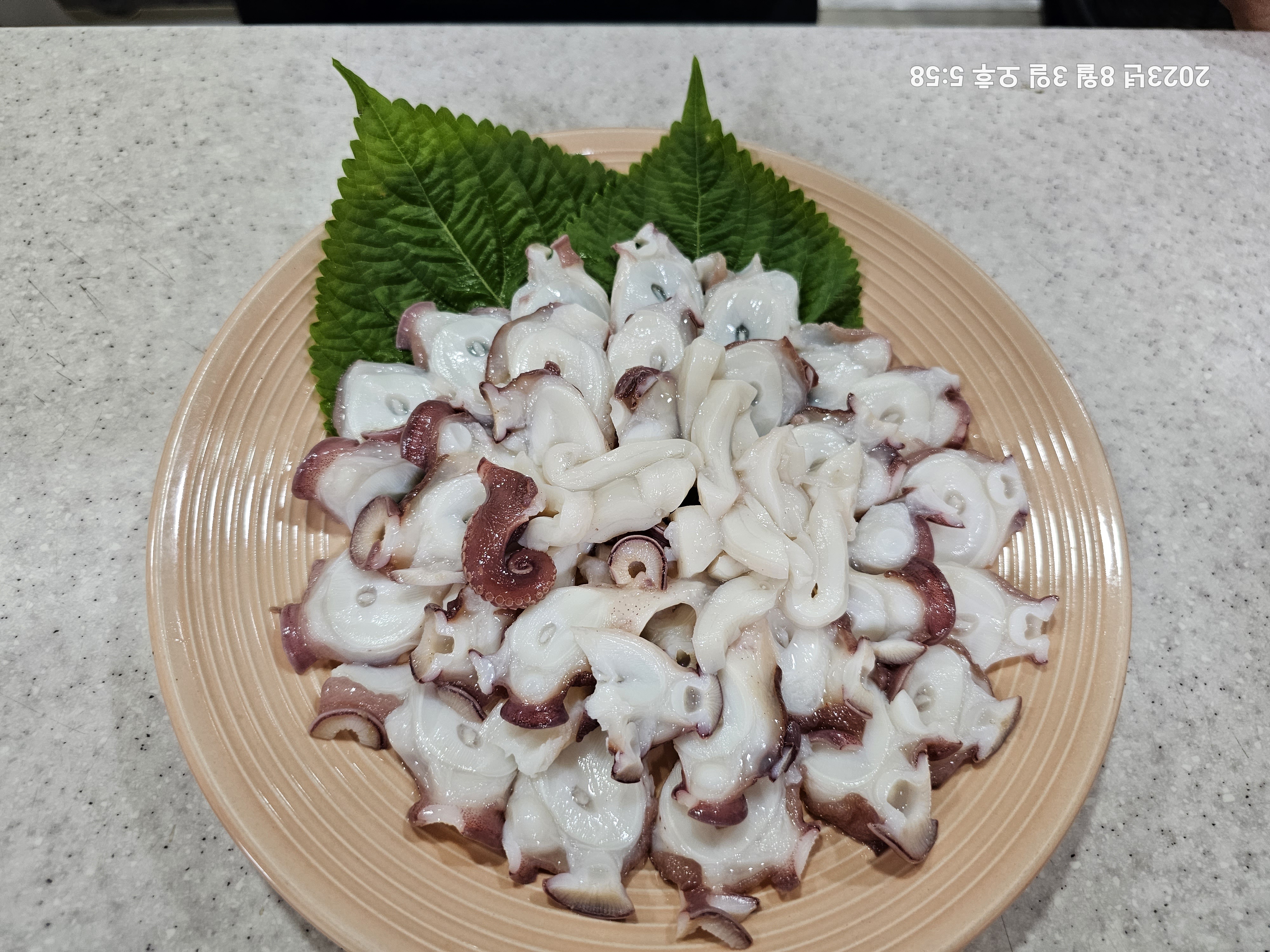푸른바다숯불장어