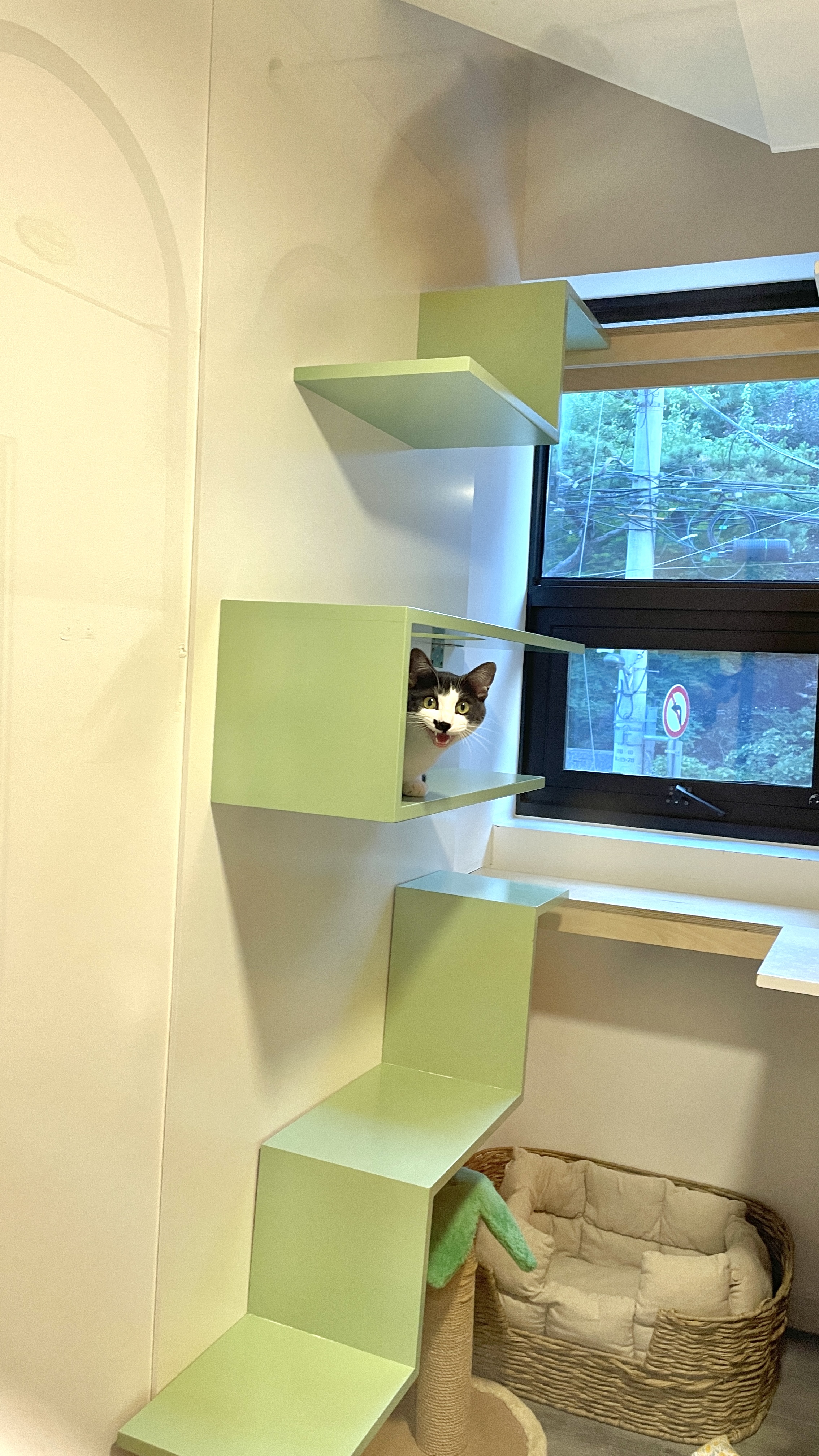 고양이호텔 까르텔 대표 이미지