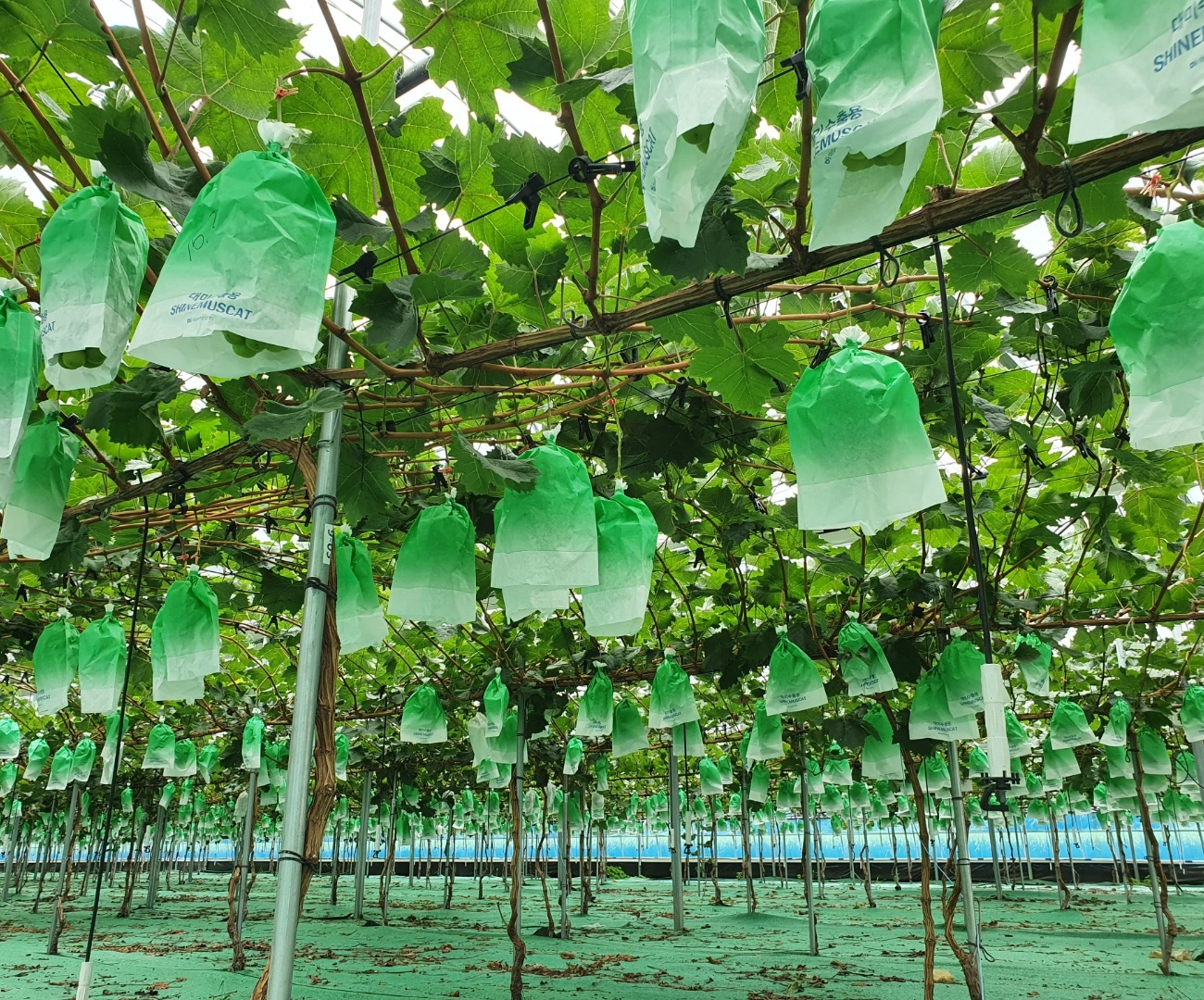 지리산맘스영농조합법인