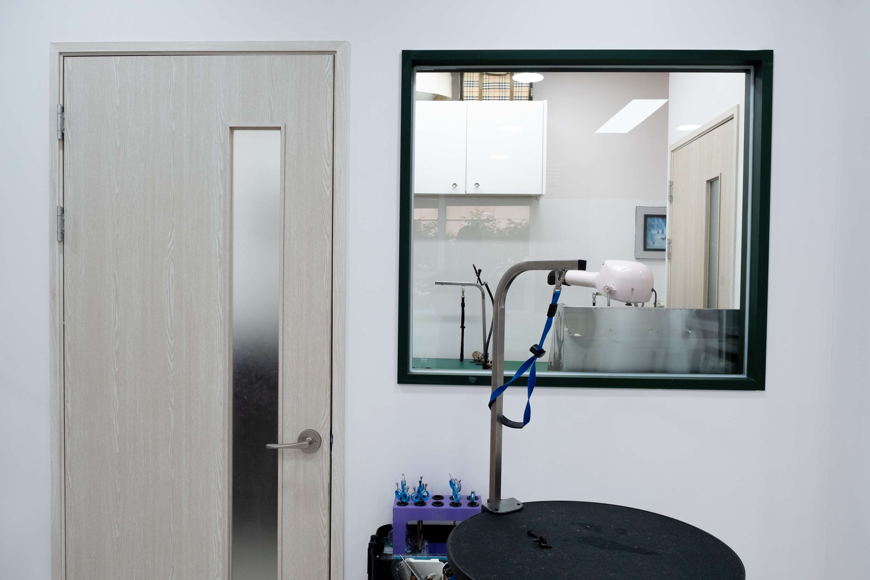 폴인럽 애견&고양이 미용 돌봄&호텔 대표 이미지