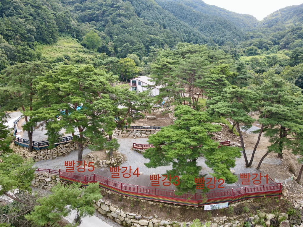 팜스프링야영장