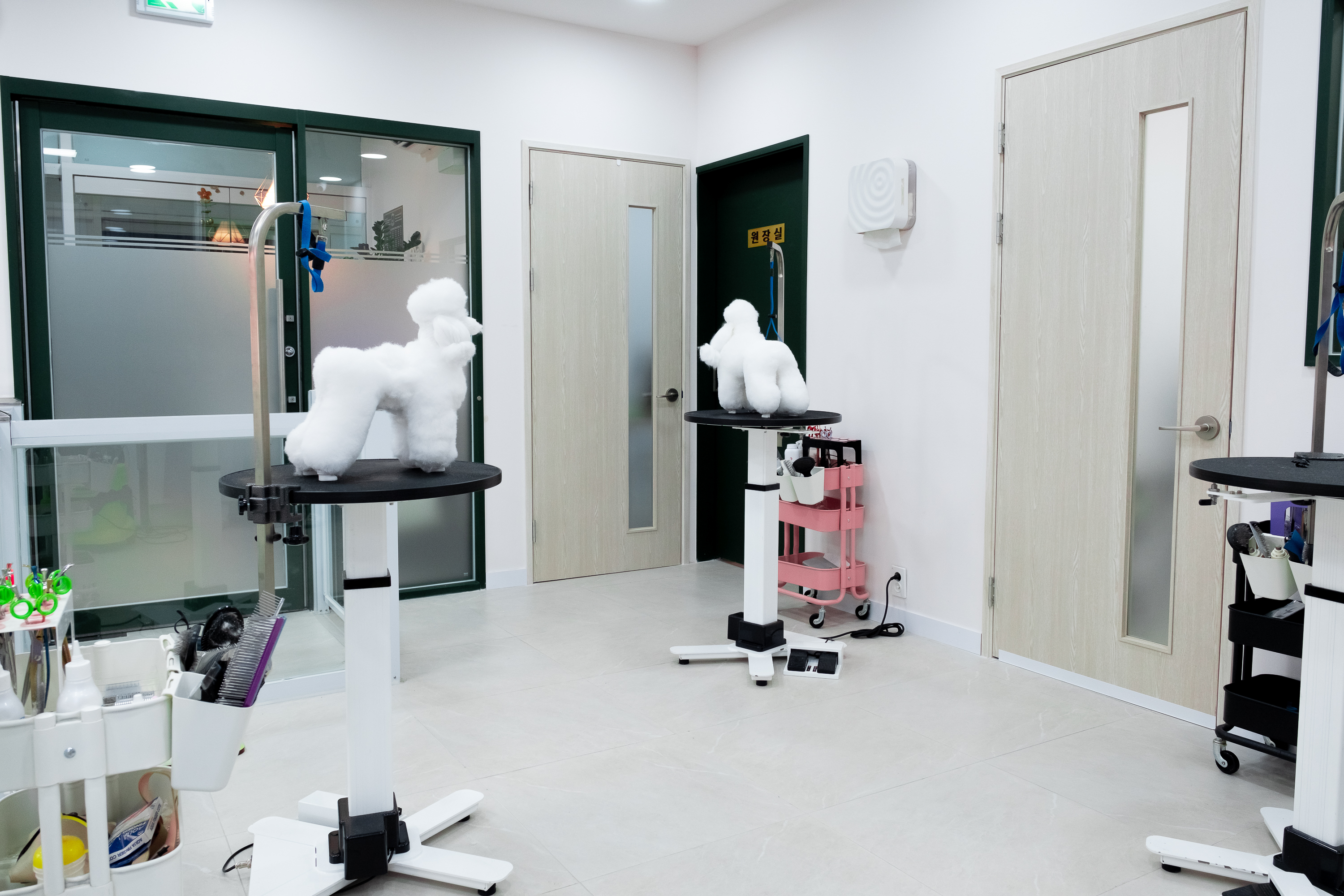 폴인럽 대표 이미지