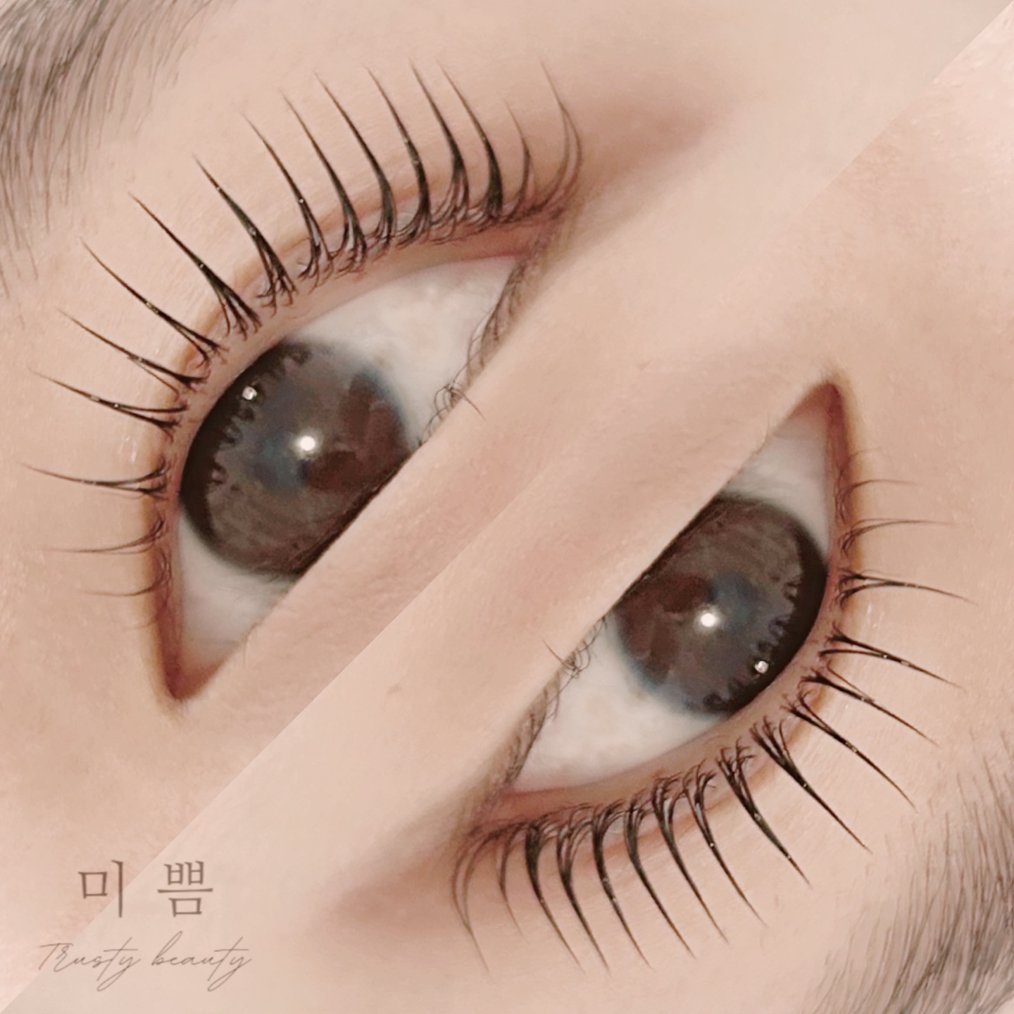미쁨