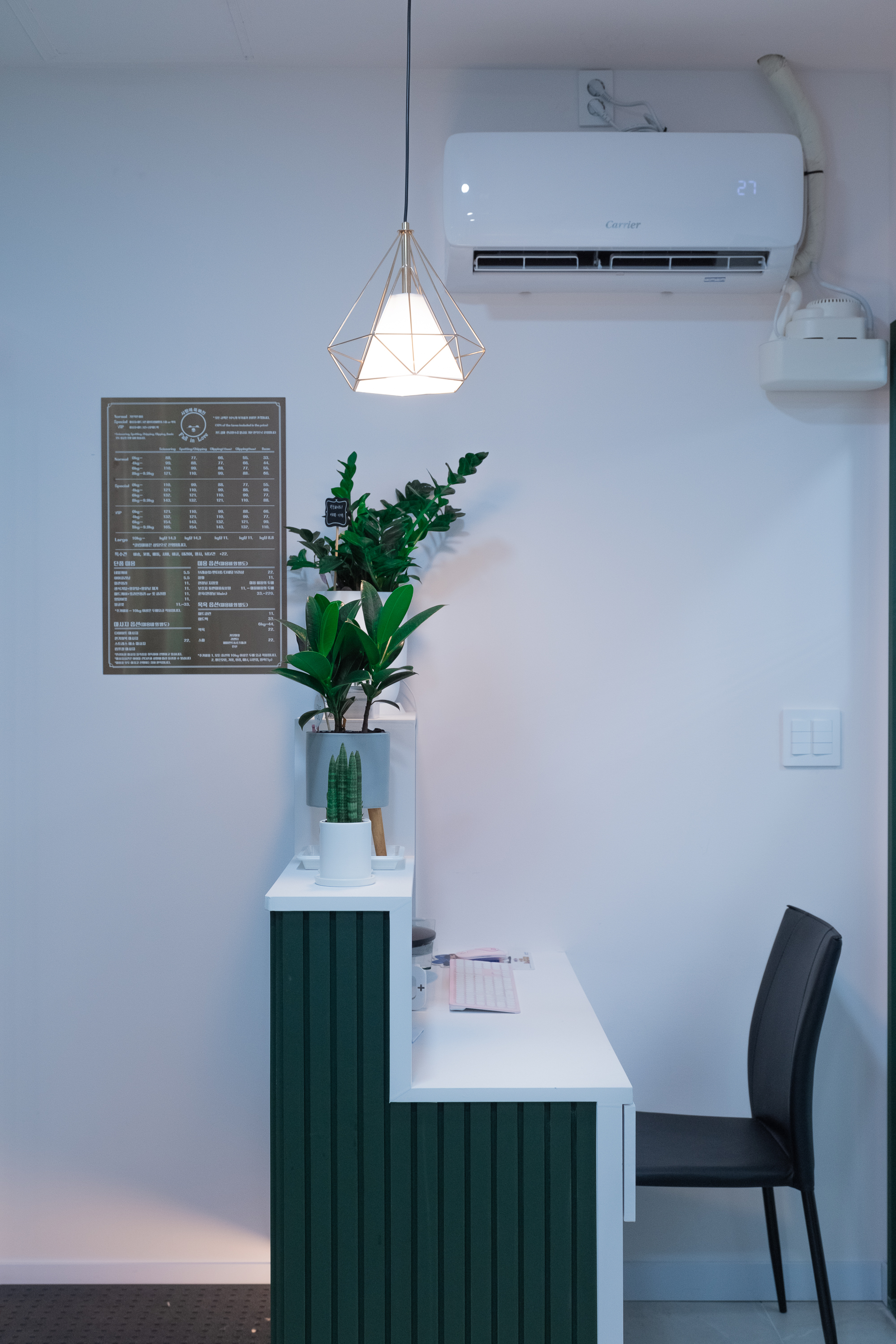 폴인럽 애견&고양이 미용 돌봄&호텔 대표 이미지