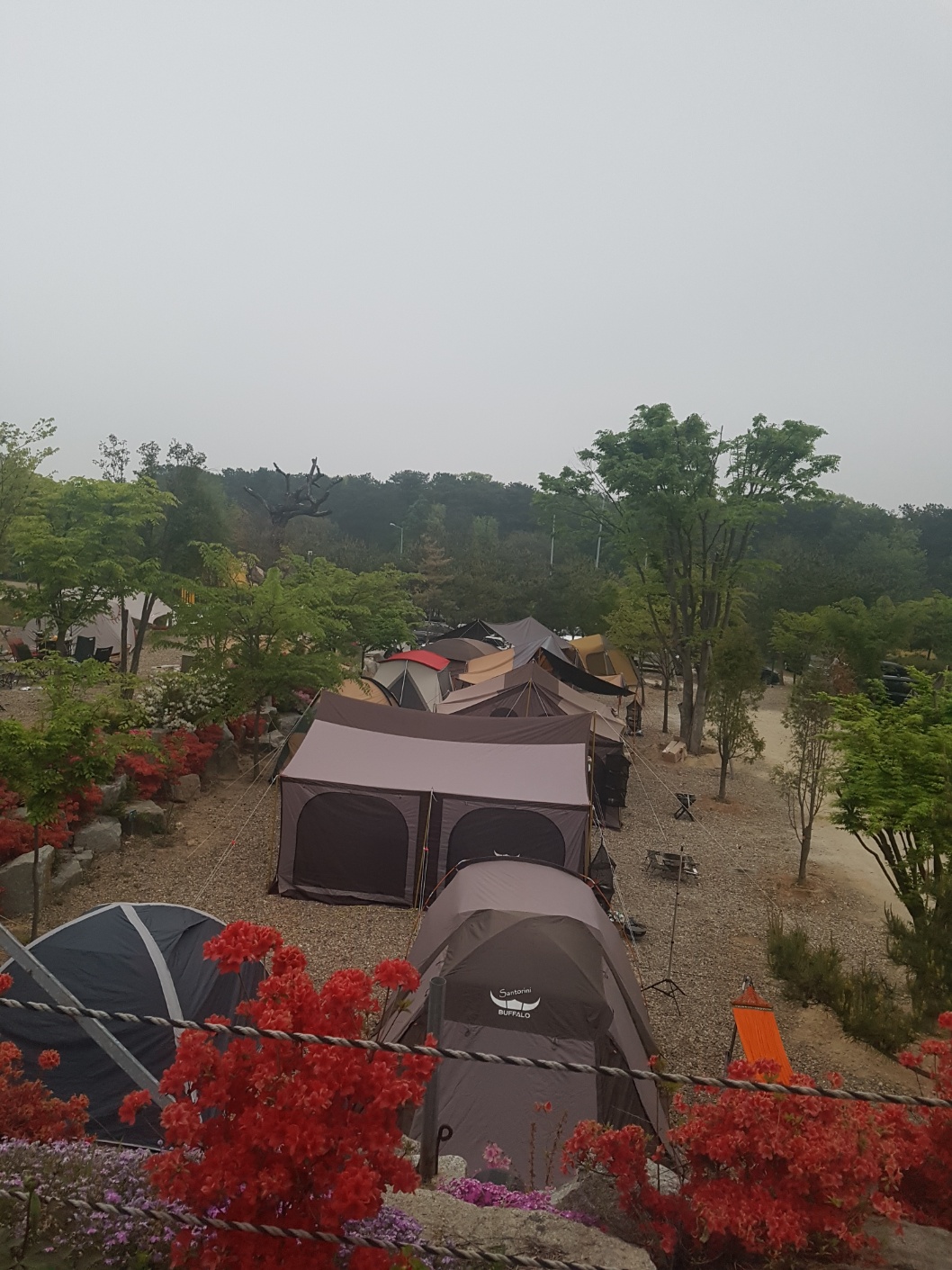 블루마린 오토캠핑장