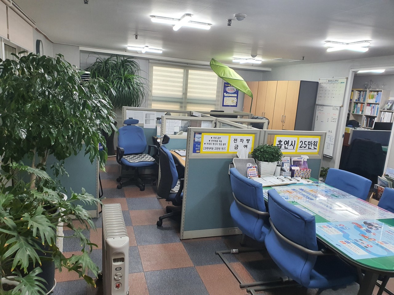 VIP렌트카 일산본점 대표 이미지