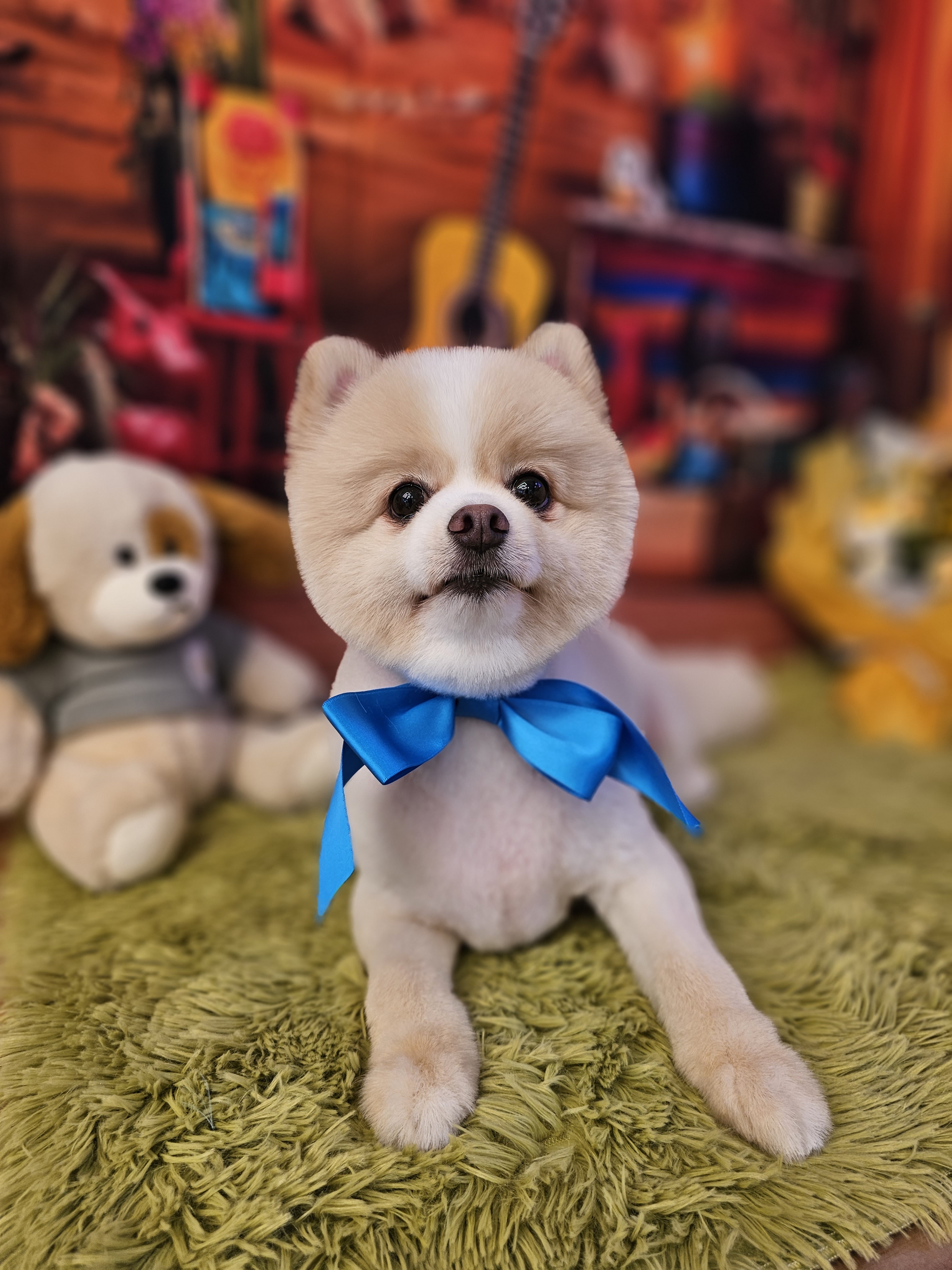 맘스펫 대표 이미지