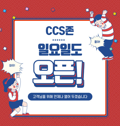 씨씨에스존