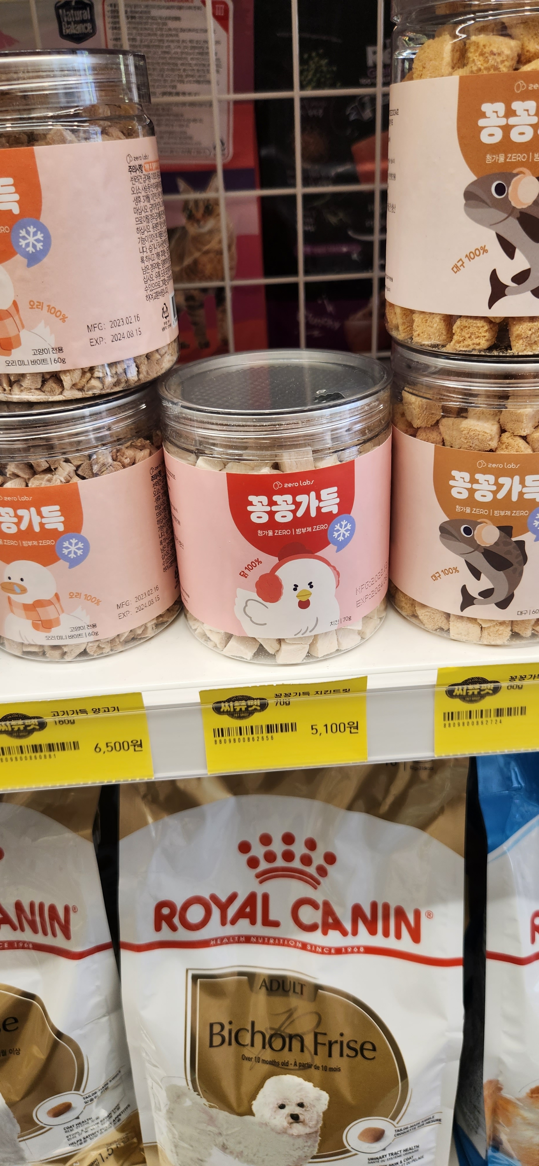 씨유펫 파주목동동점