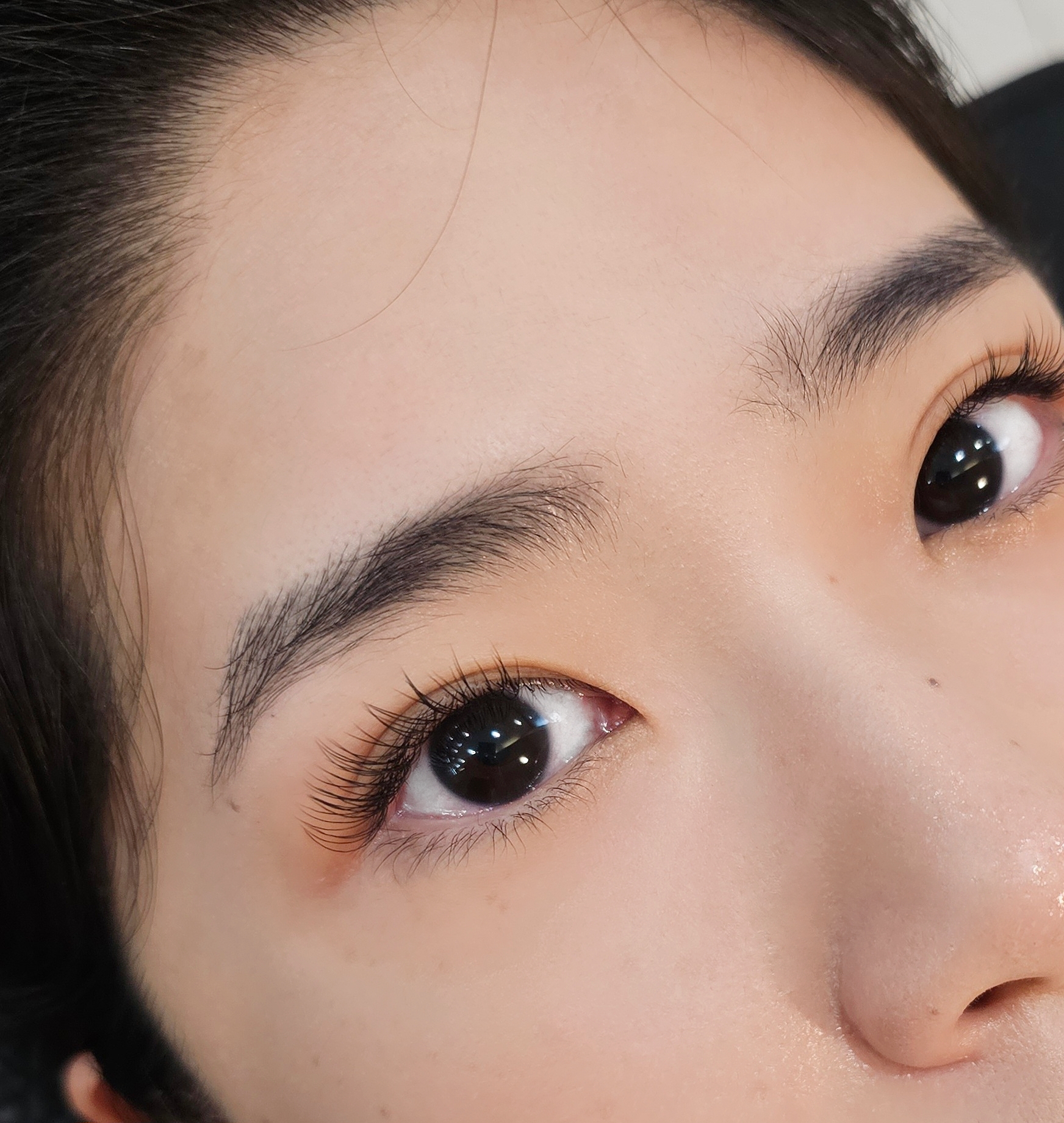 드니엘래쉬 대표 이미지