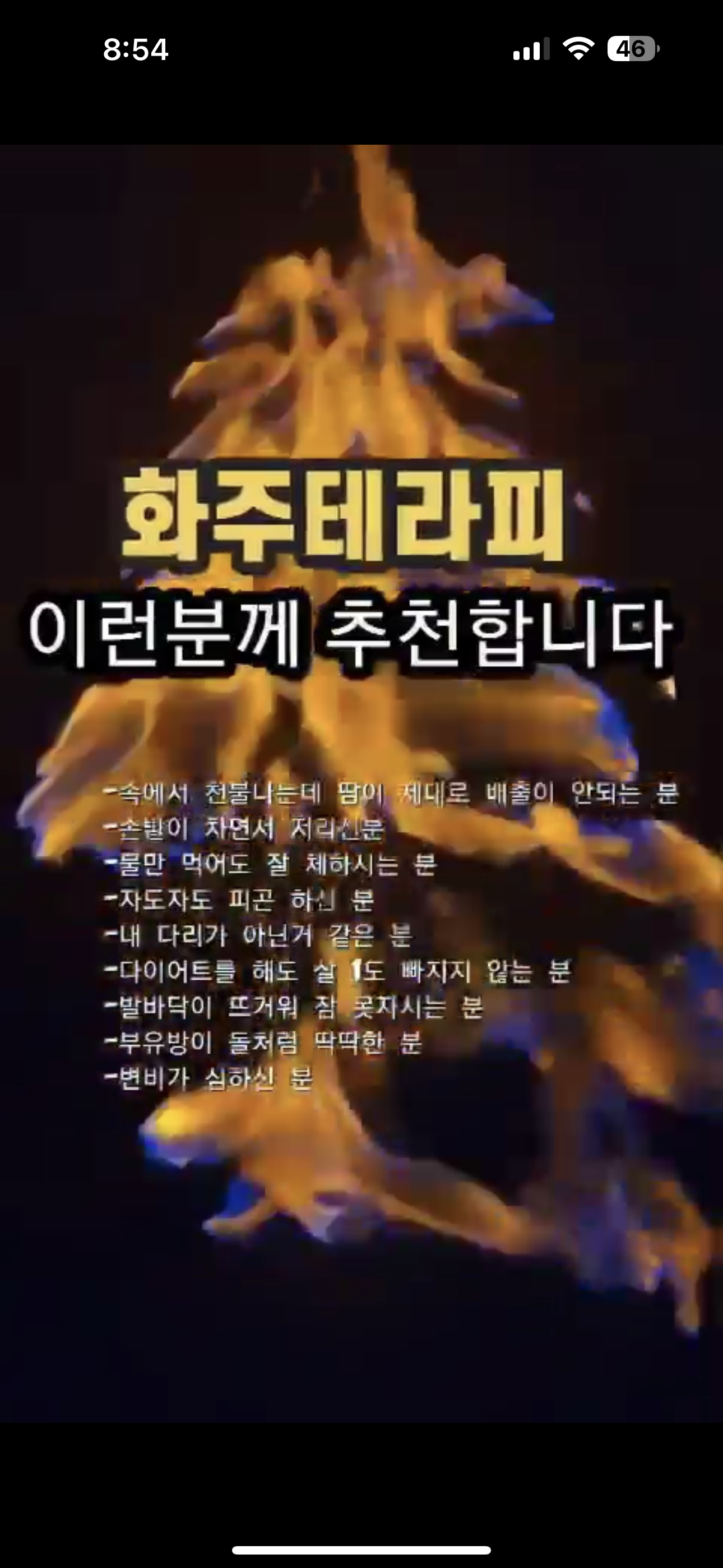 도도한여우